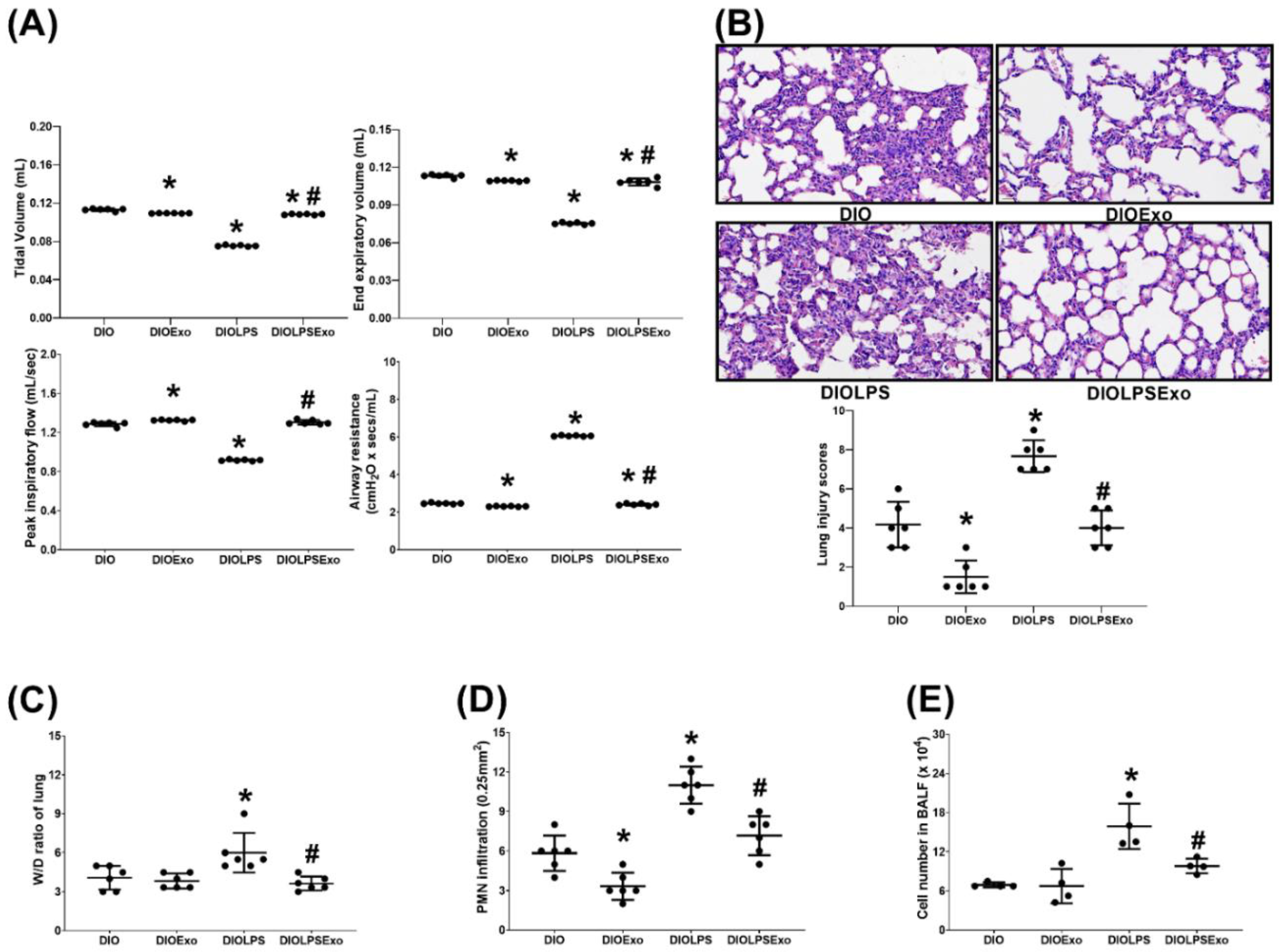 Antioxidants 11 00615 g003 Antioxidants 11 00615 g003