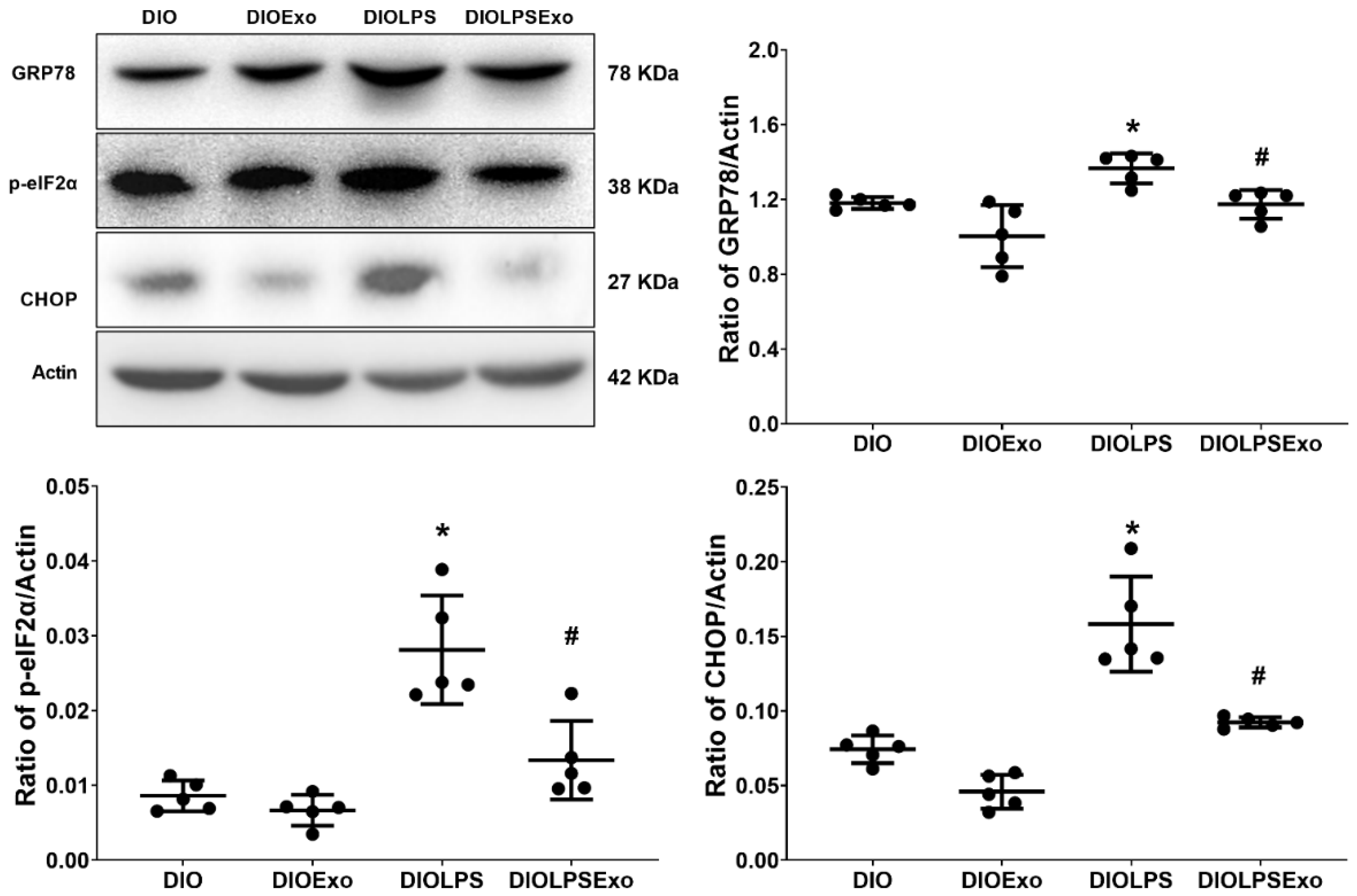 Antioxidants 11 00615 g004 Antioxidants 11 00615 g004