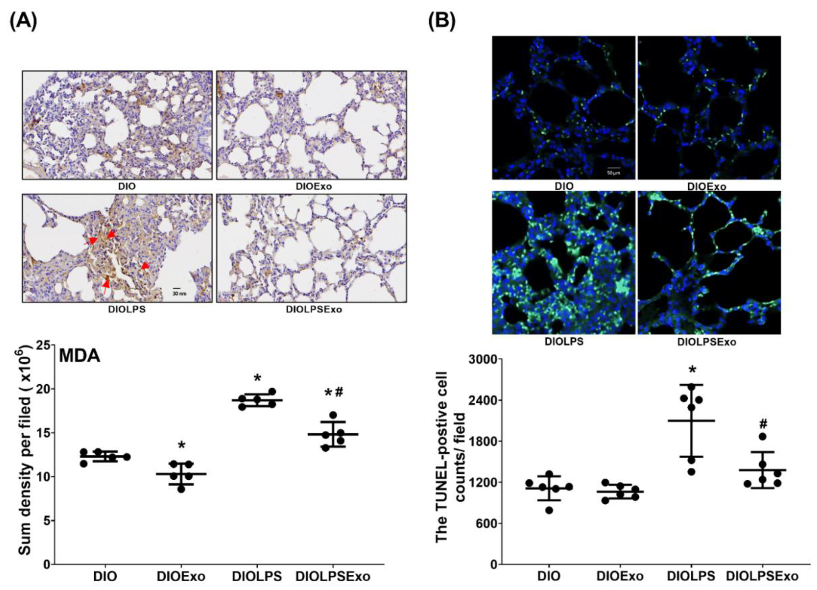 Antioxidants 11 00615 g006 Antioxidants 11 00615 g006
