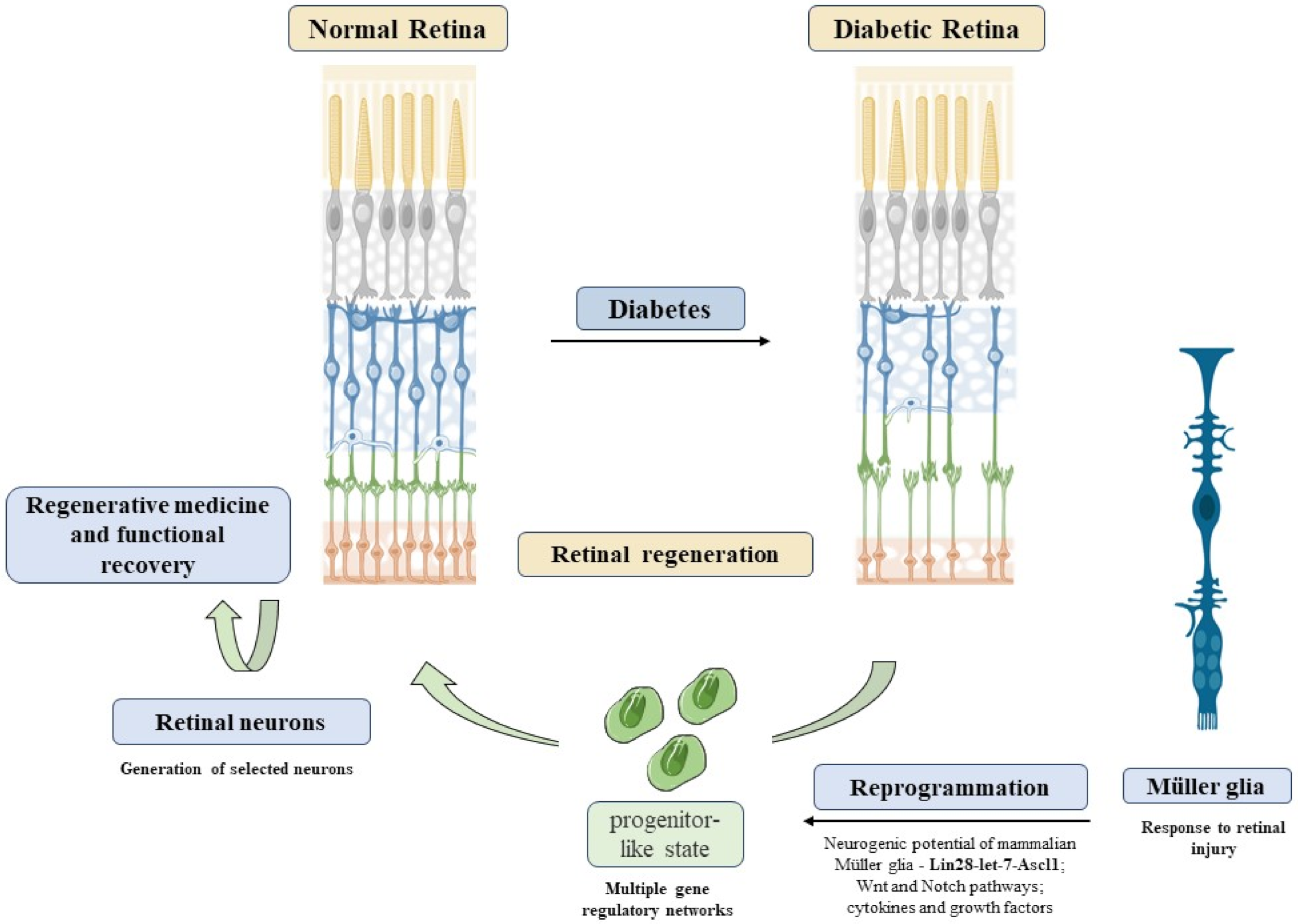 Antioxidants 11 00617 g005