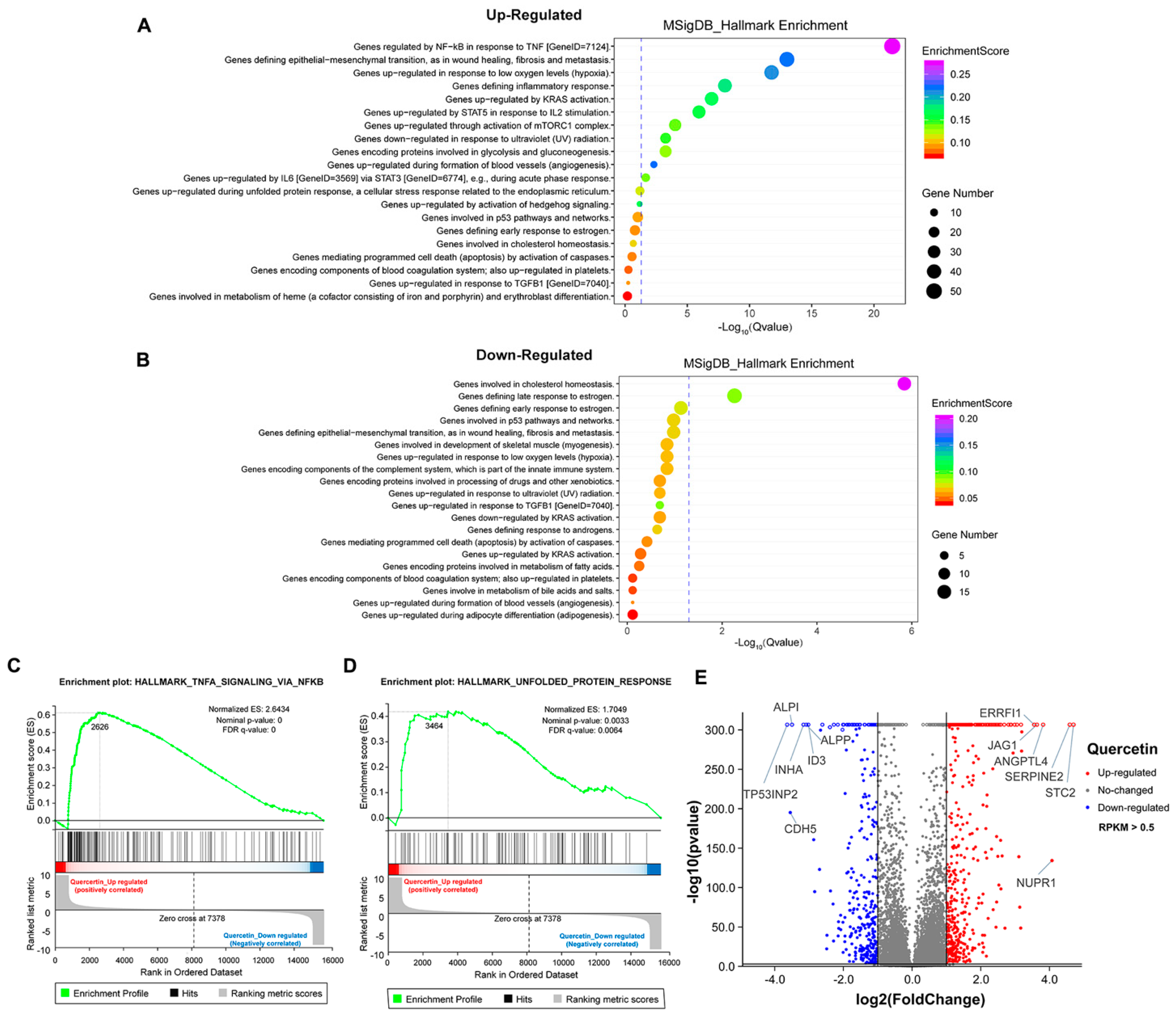 Antioxidants 11 00622 g007