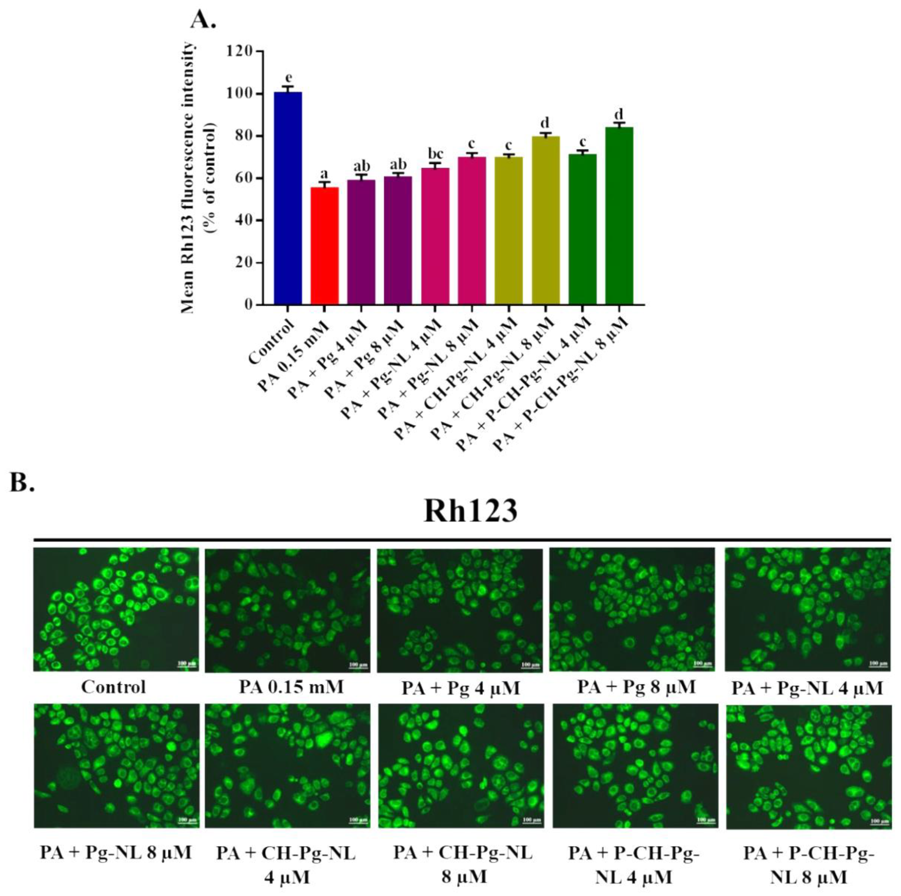 Antioxidants 11 00623 g006