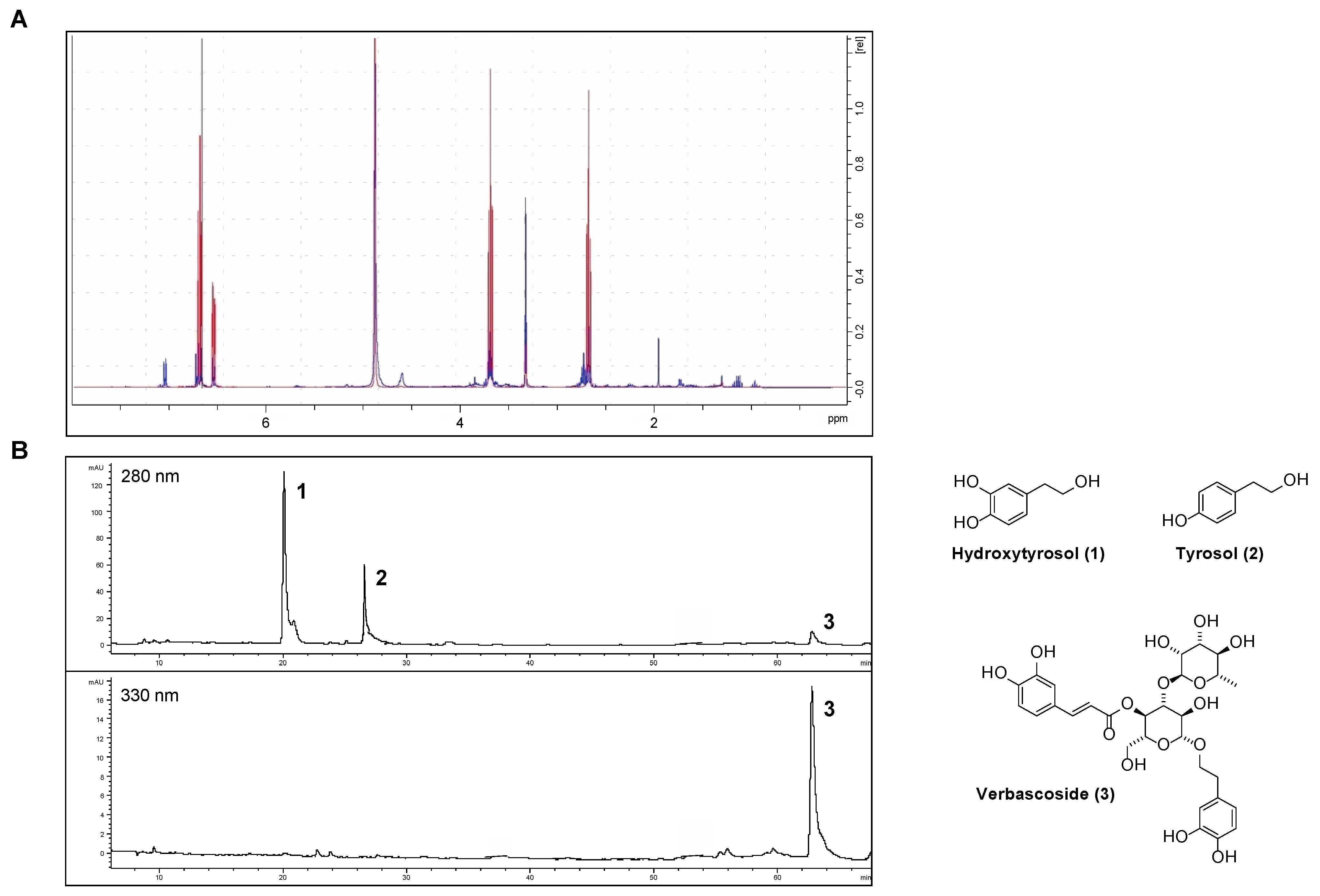 Antioxidants 11 00624 g001