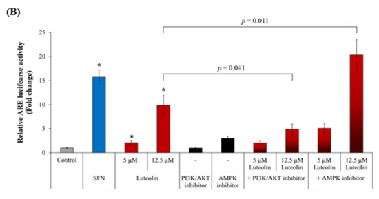 Luteolin Synergistically Enhances Antitumor Activity of