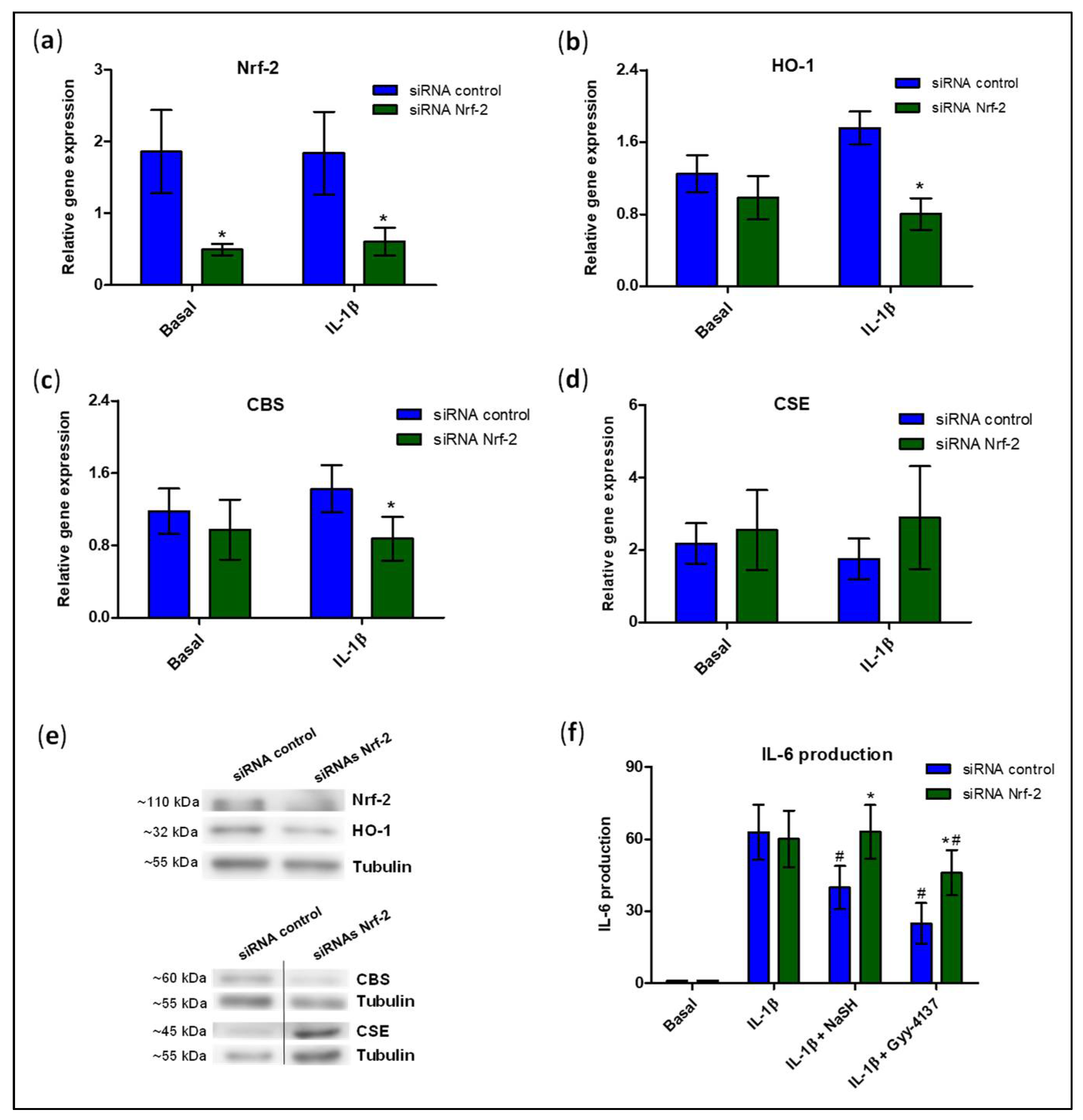 Antioxidants 11 00628 g006 Antioxidants 11 00628 g006