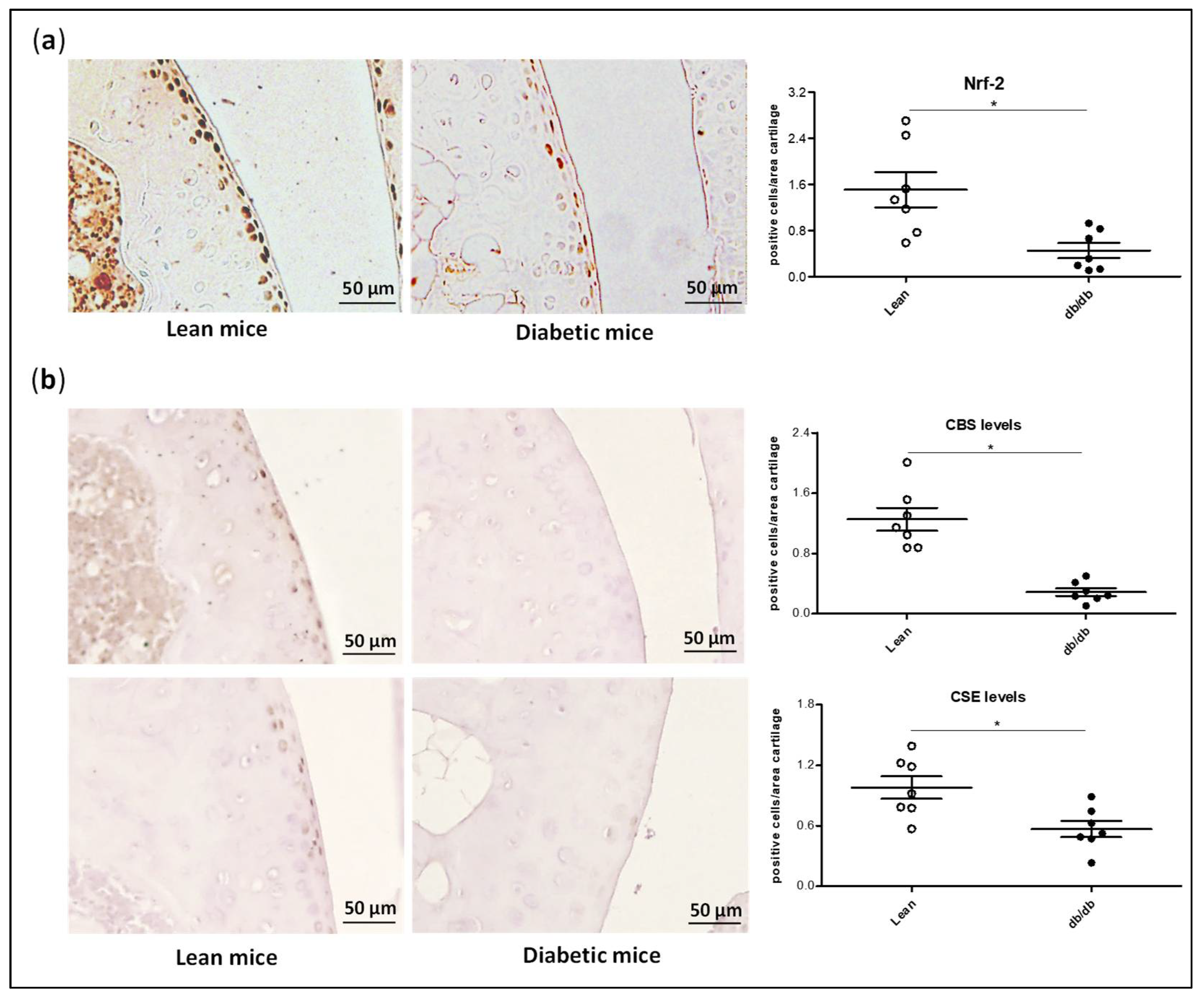 Antioxidants 11 00628 g007 Antioxidants 11 00628 g007