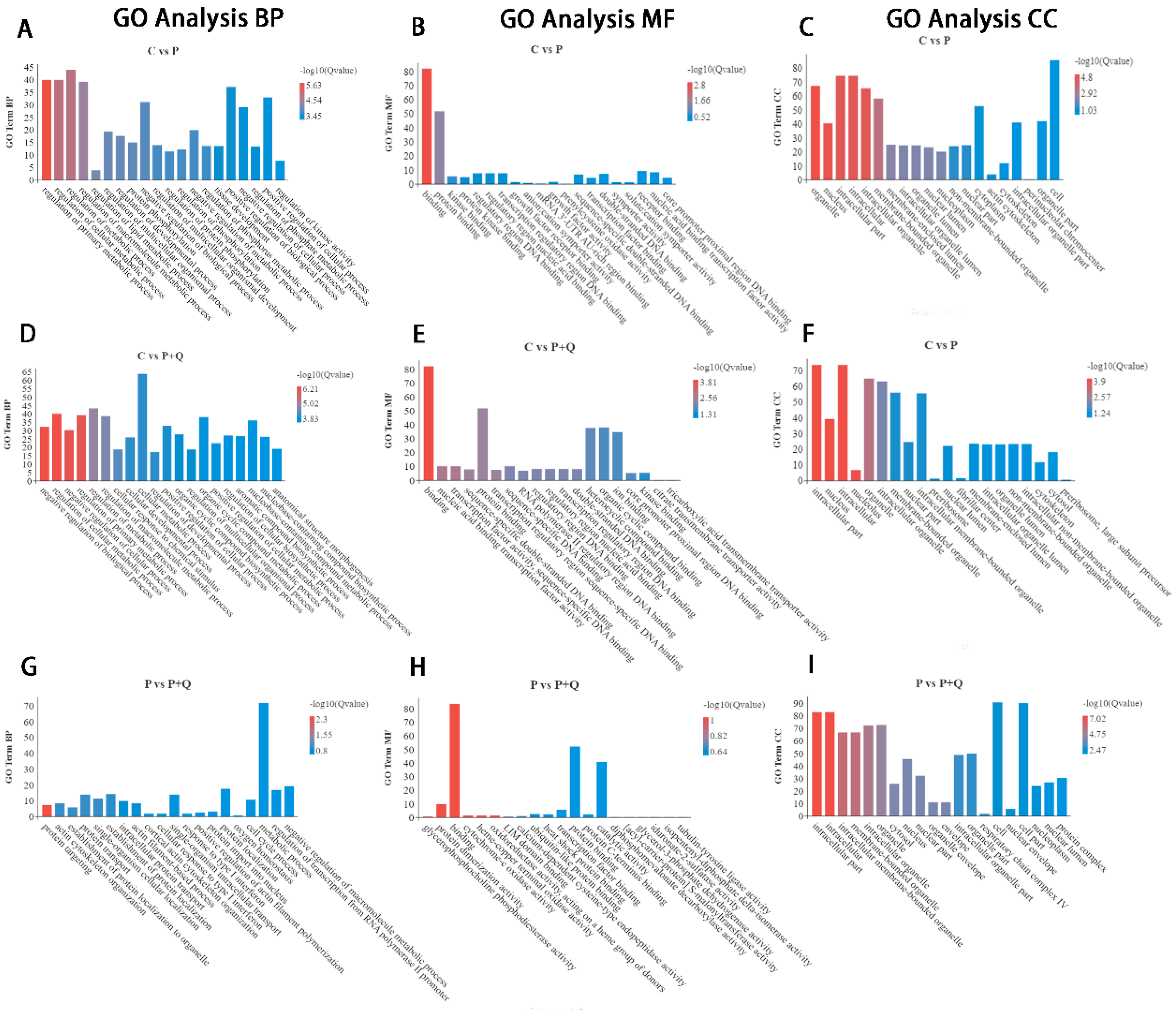 Antioxidants 11 00631 g004 550