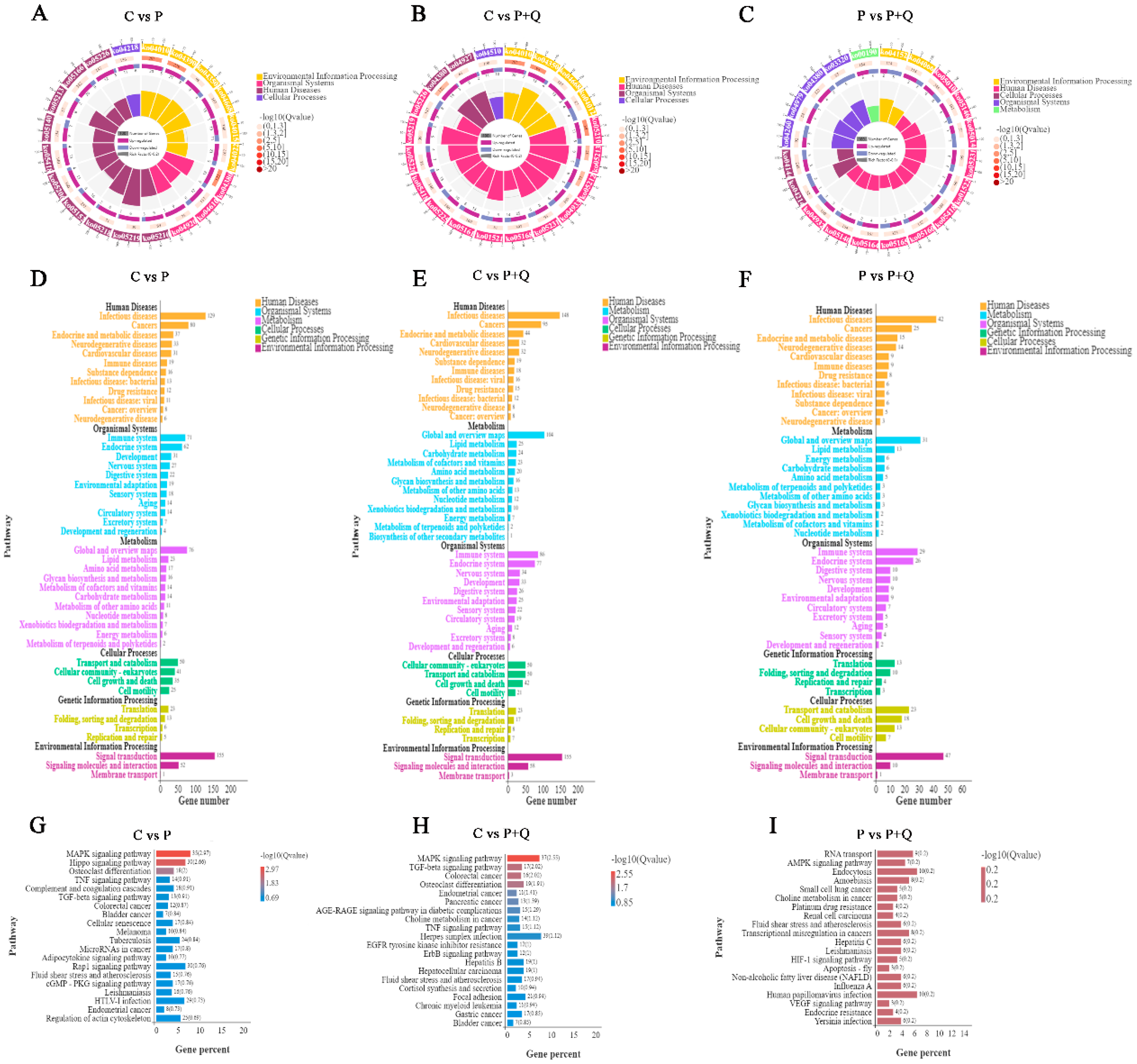 Antioxidants 11 00631 g005 550