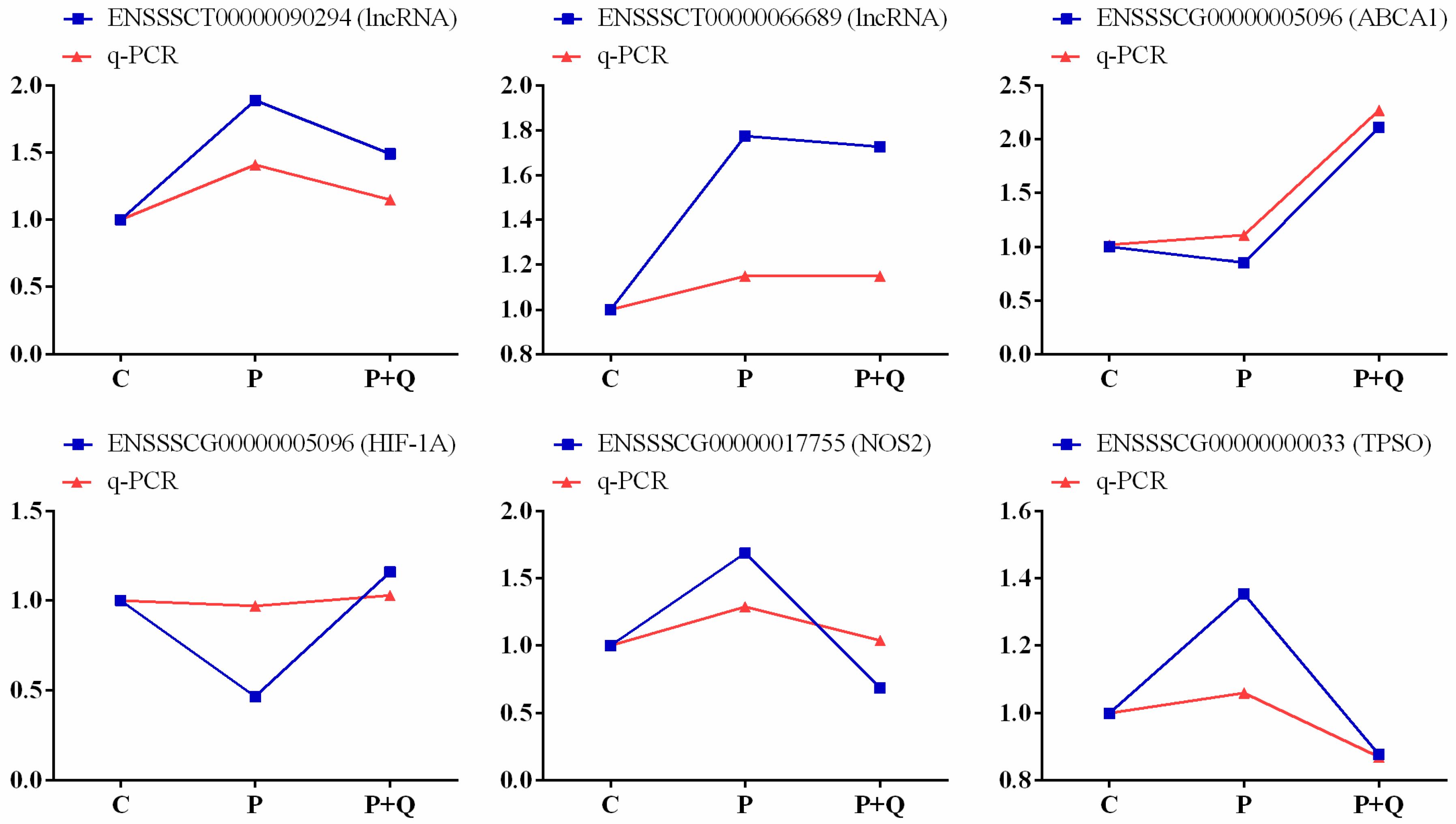 Antioxidants 11 00631 g008 550
