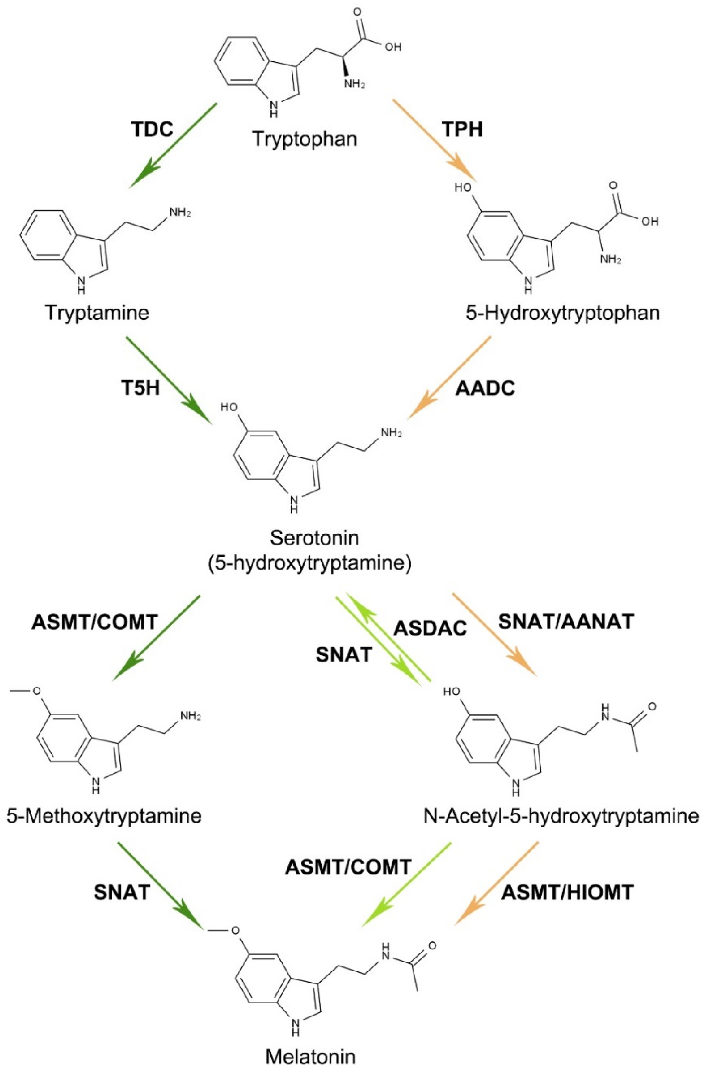 Antioxidants 11 00634 g001 550