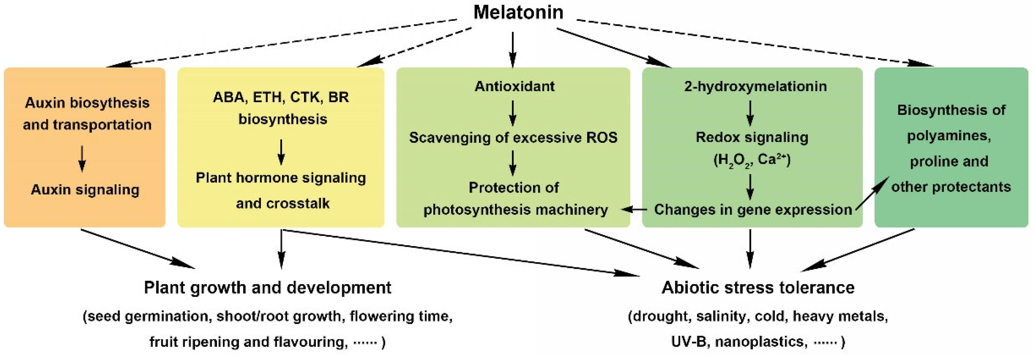 Antioxidants 11 00634 g003 550