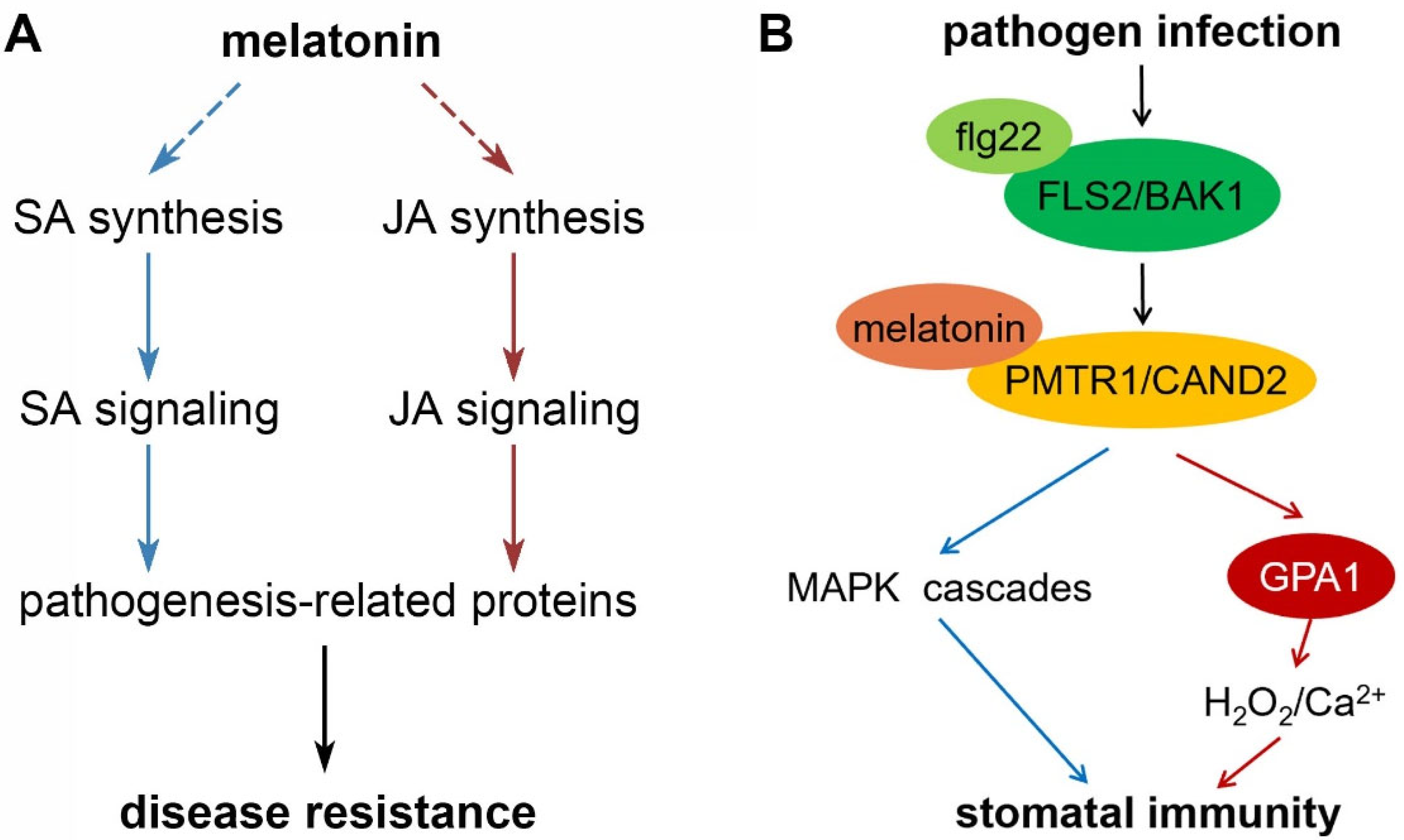 Antioxidants 11 00634 g004 550