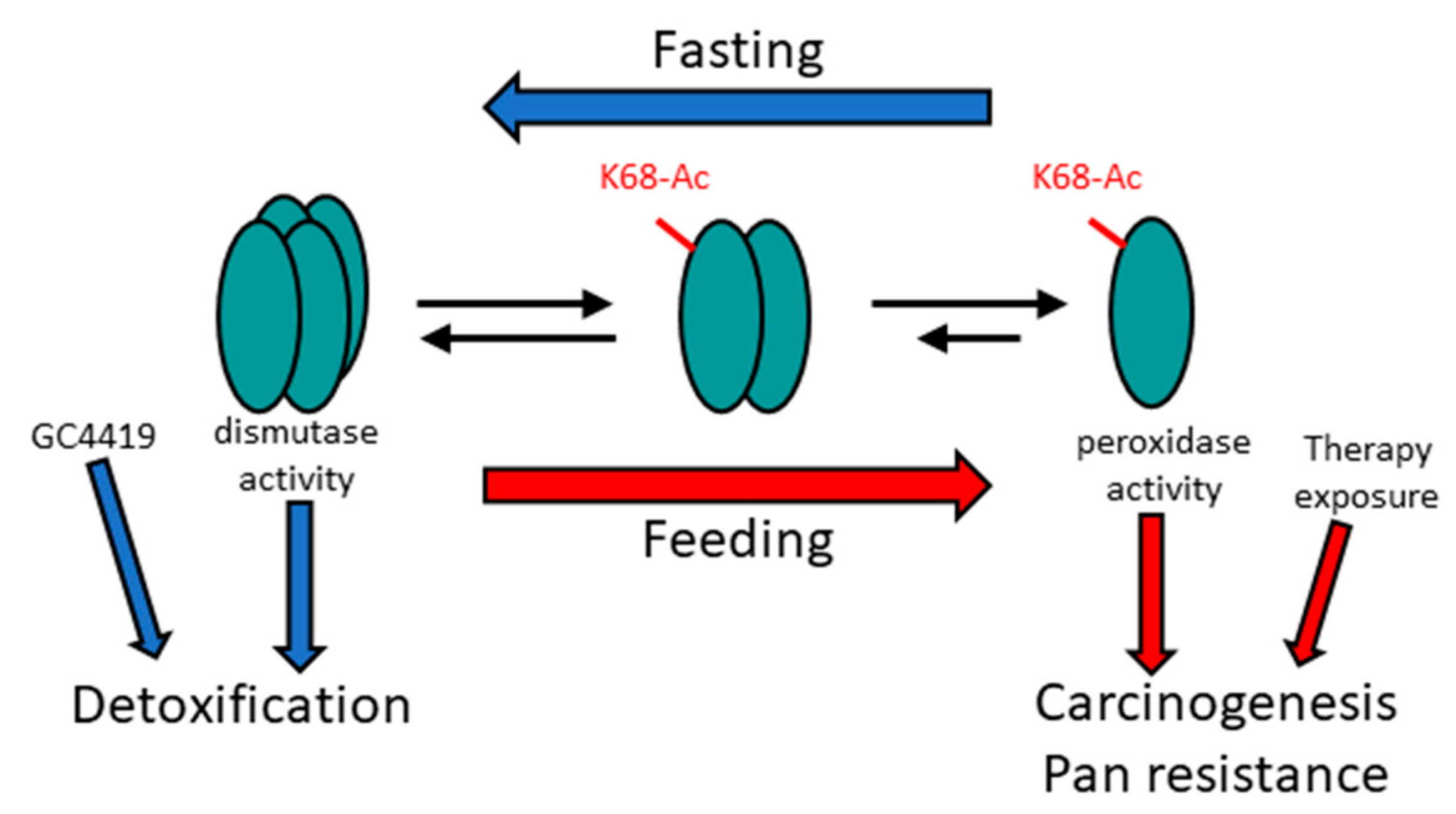 Antioxidants 11 00635 g001