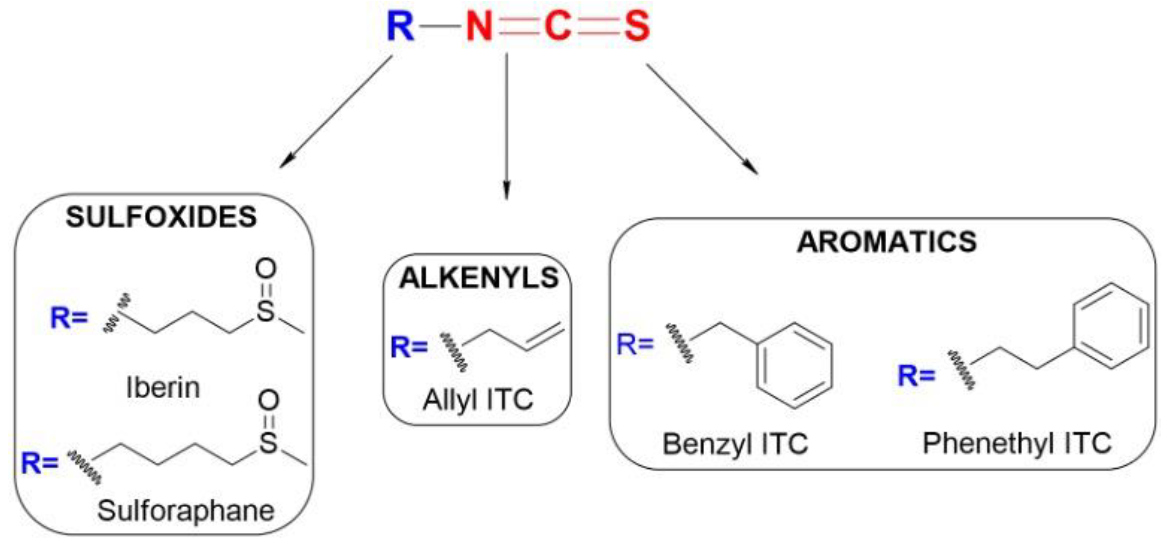 Antioxidants 11 00642 g001 Antioxidants 11 00642 g001