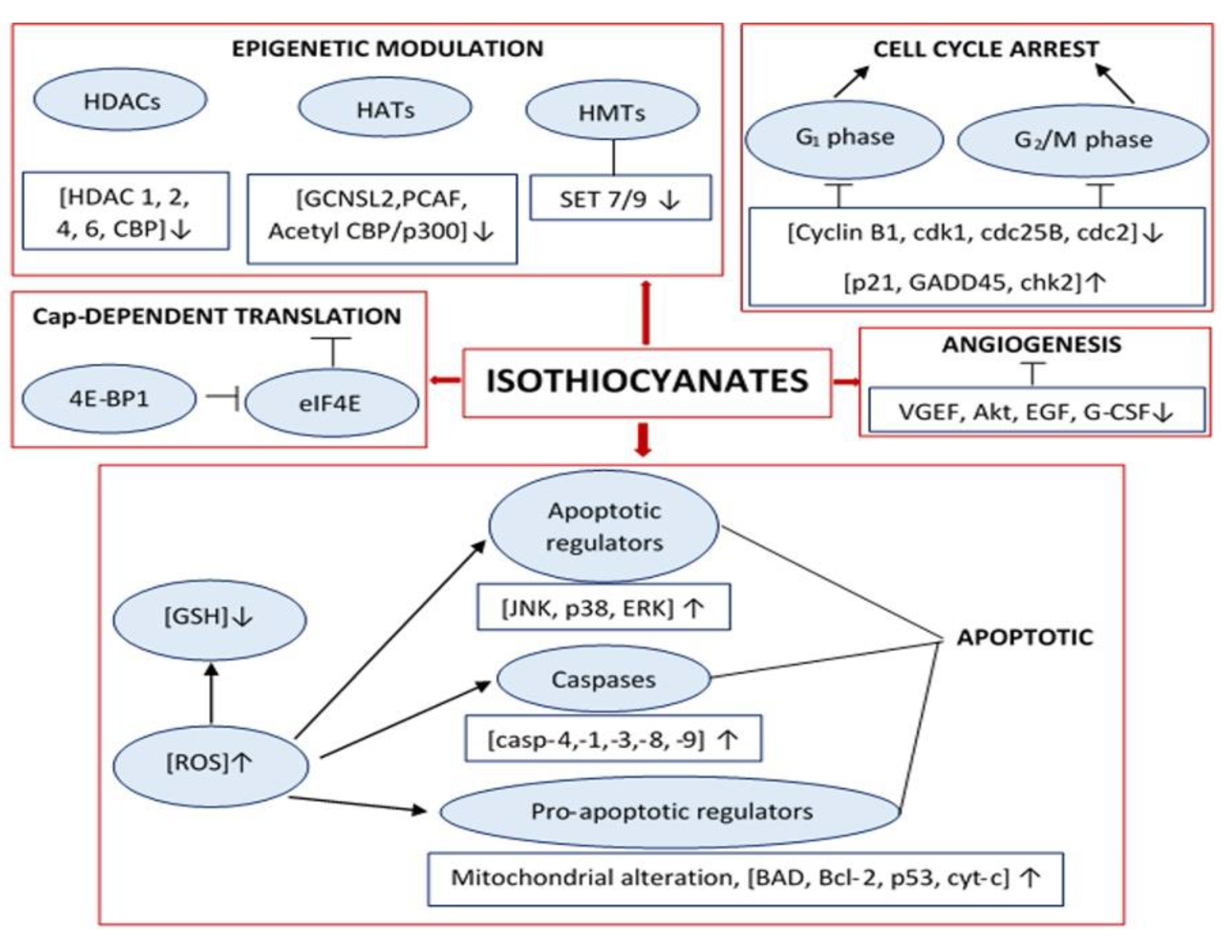 Antioxidants 11 00642 g003 Antioxidants 11 00642 g003