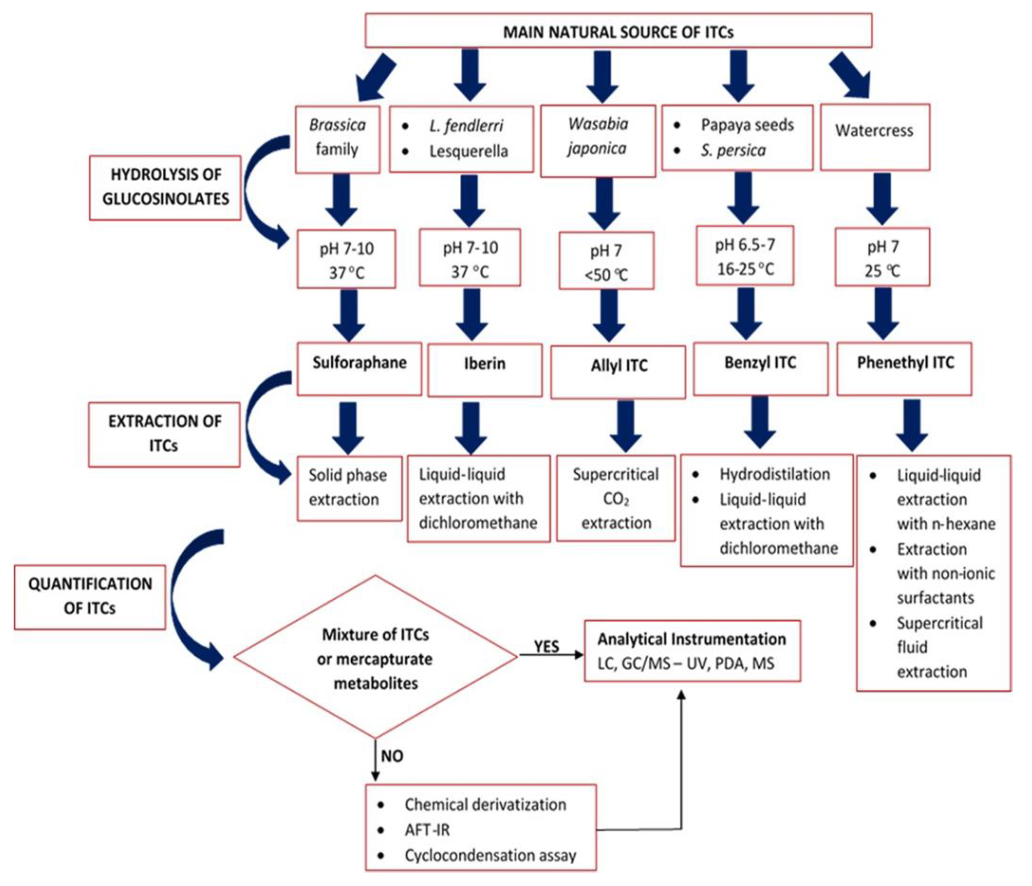 Antioxidants 11 00642 g005 Antioxidants 11 00642 g005