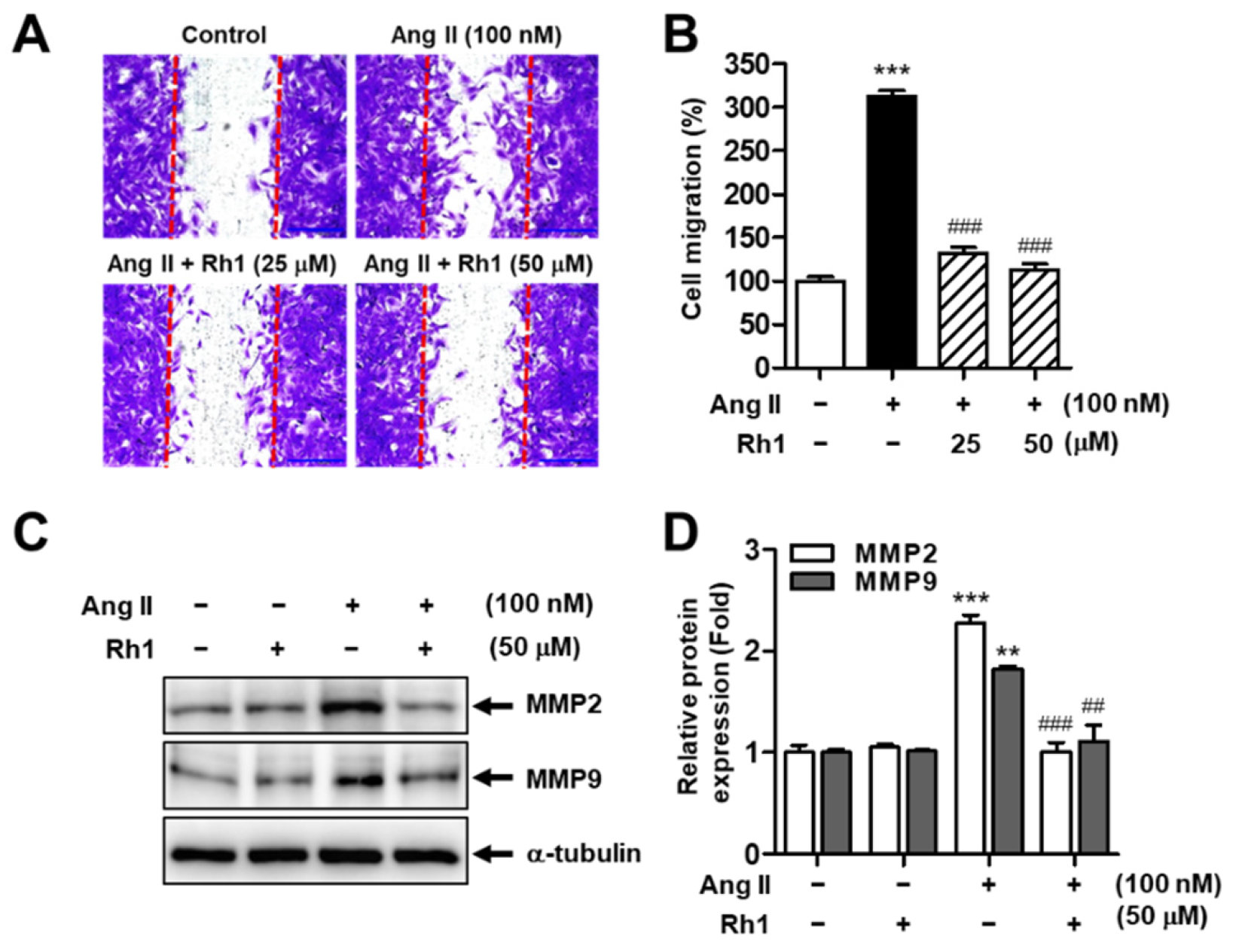 Antioxidants 11 00643 g001