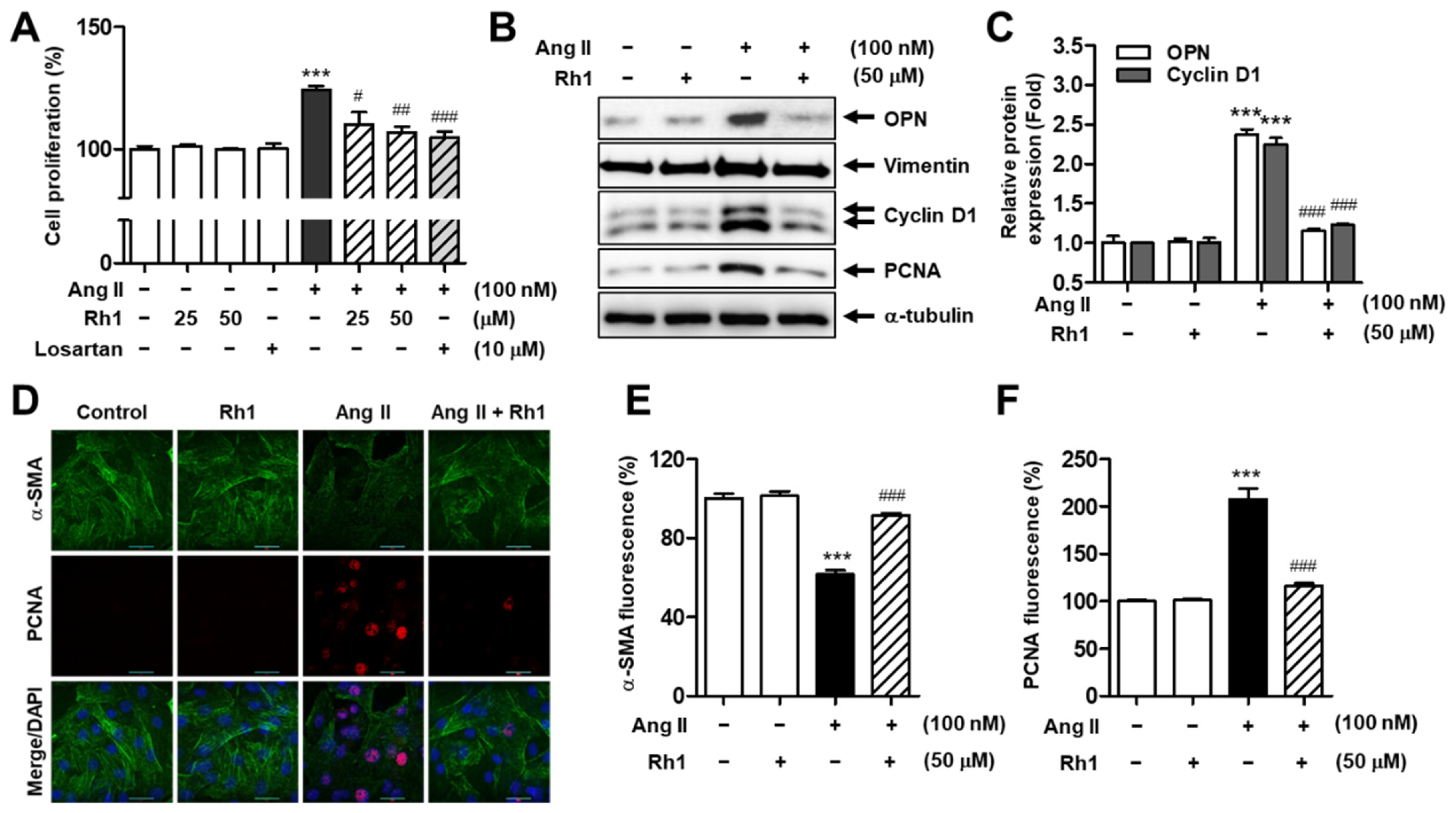 Antioxidants 11 00643 g002
