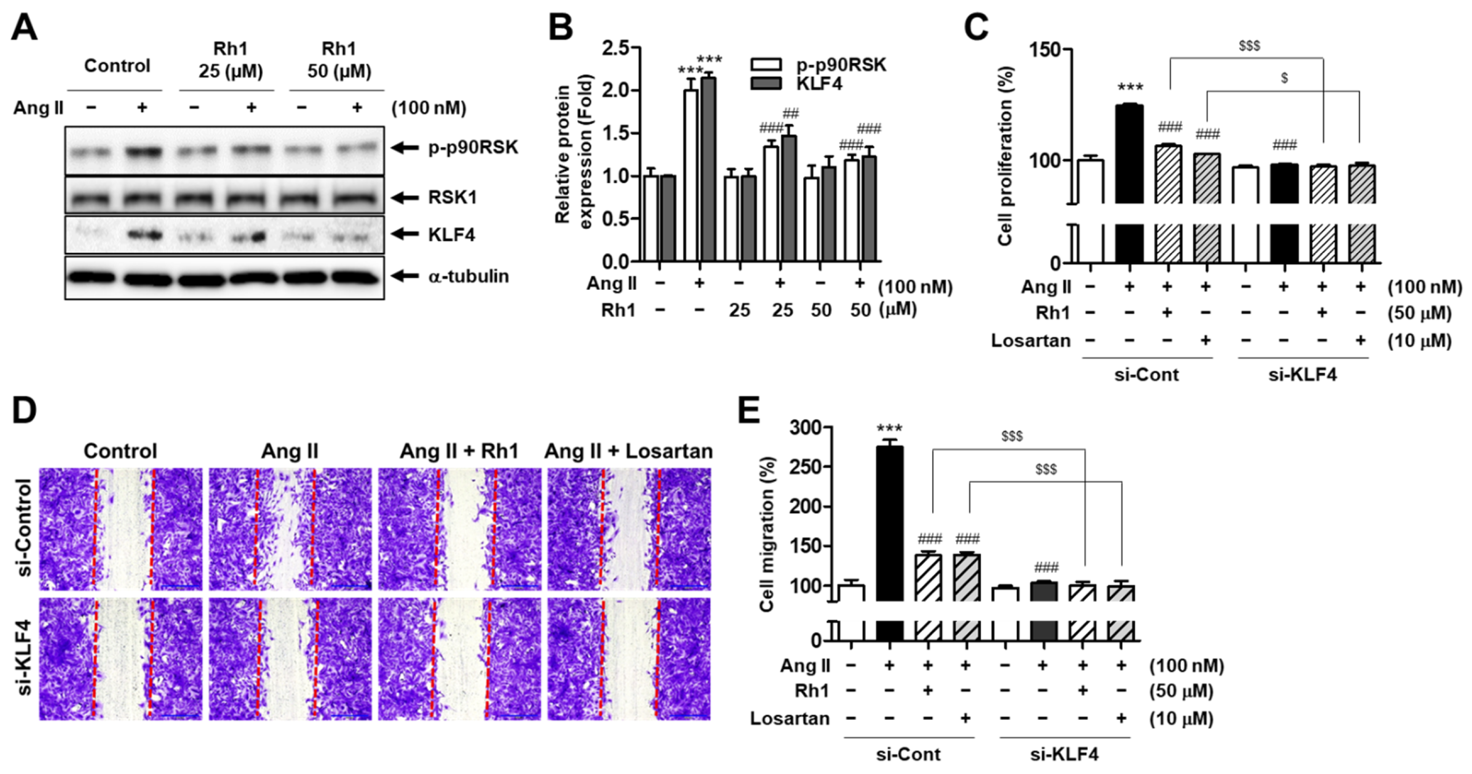 Antioxidants 11 00643 g004