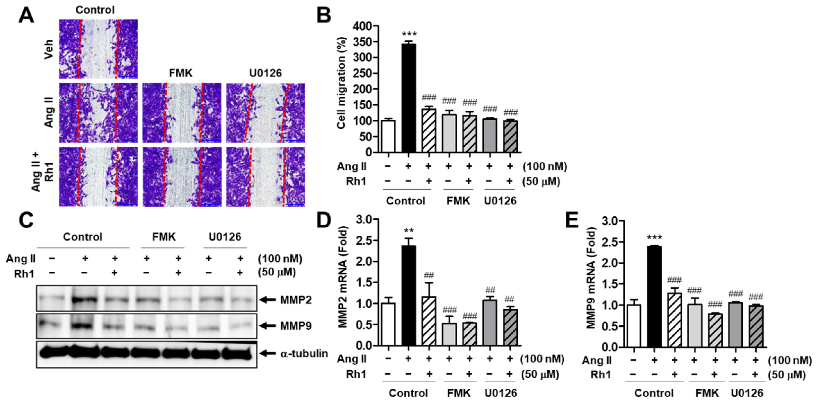 Antioxidants 11 00643 g006