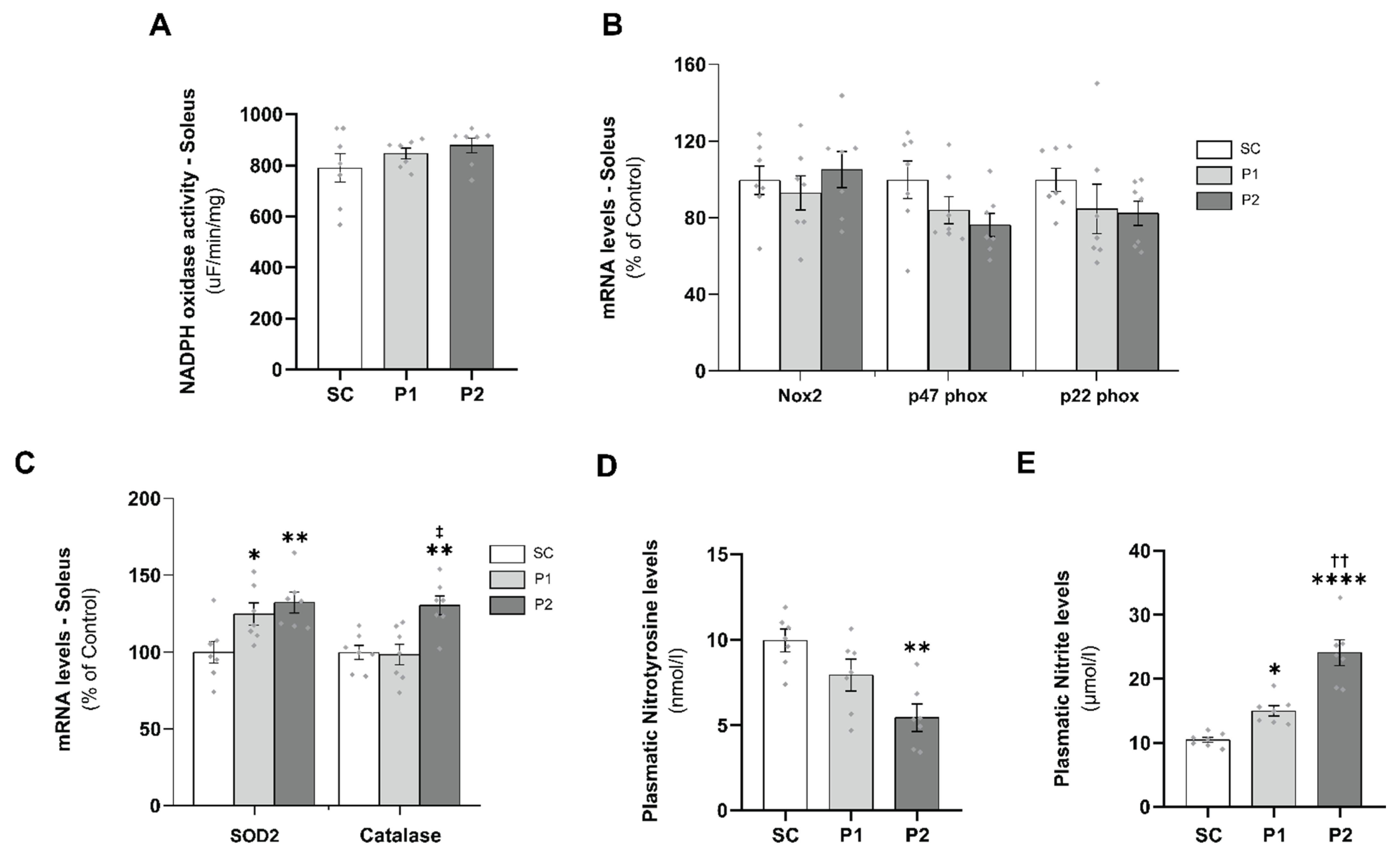 Antioxidants 11 00651 g005 Antioxidants 11 00651 g005
