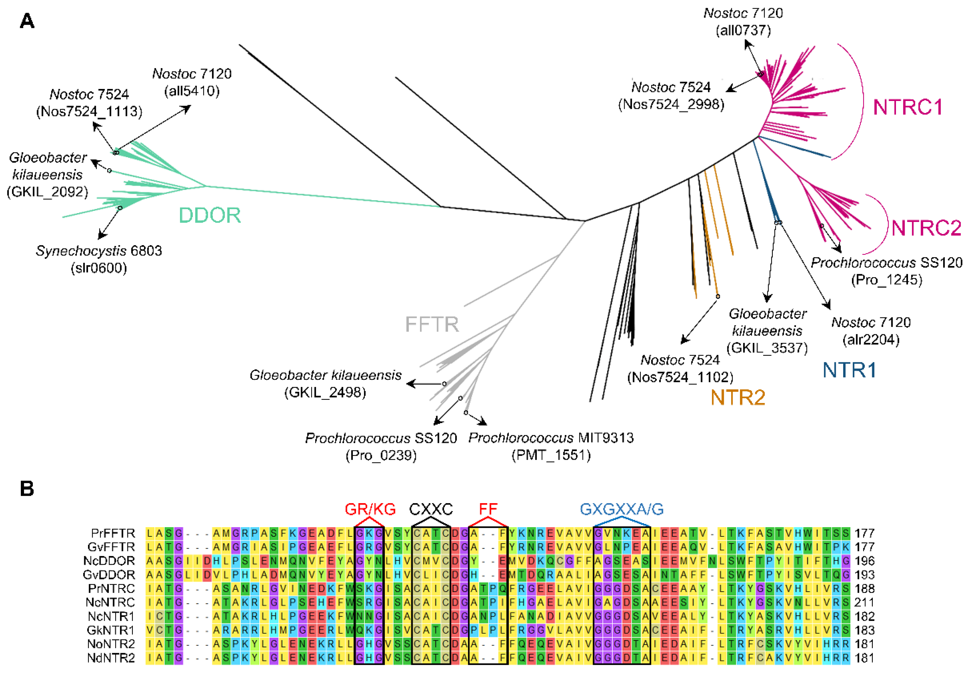 Antioxidants 11 00654 g003