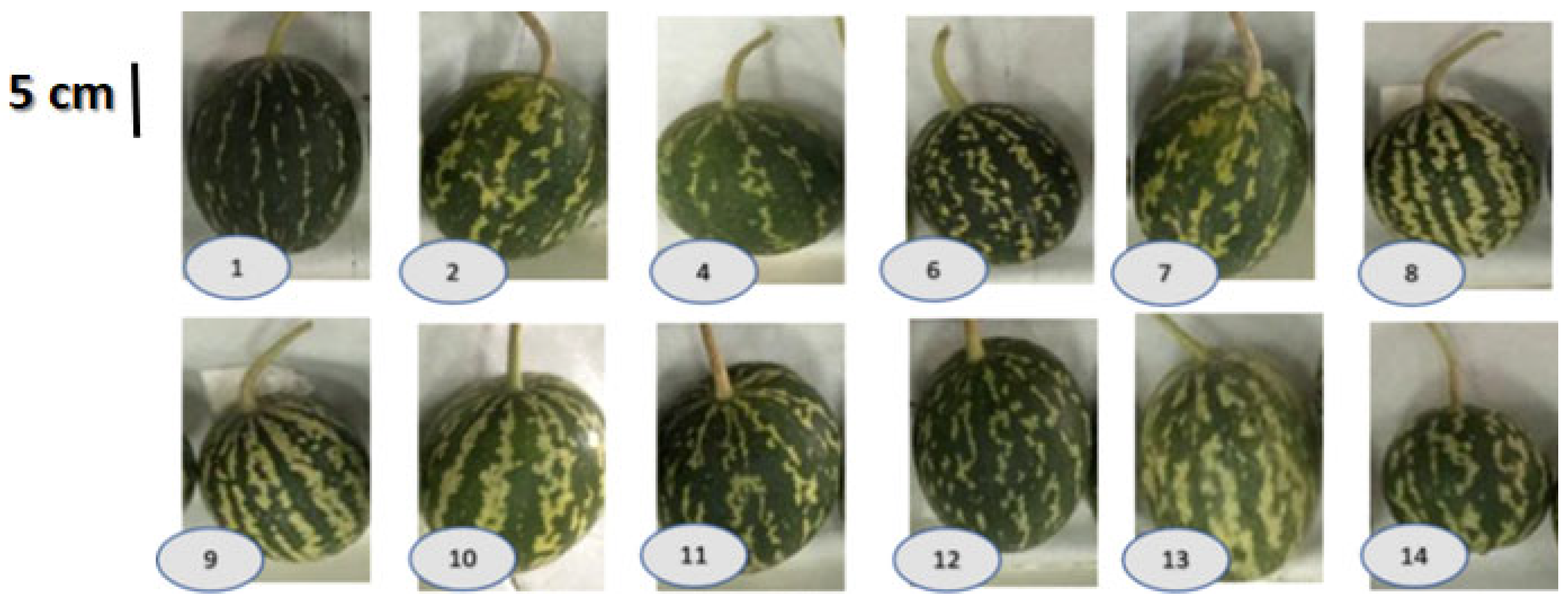 Antioxidants 11 00656 g001 Antioxidants 11 00656 g001