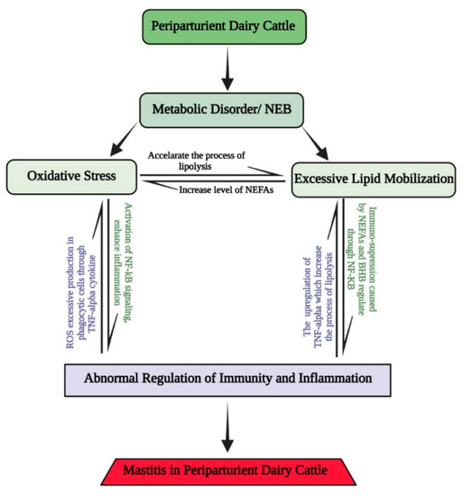 Antioxidants An Open Access Journal from MDPI