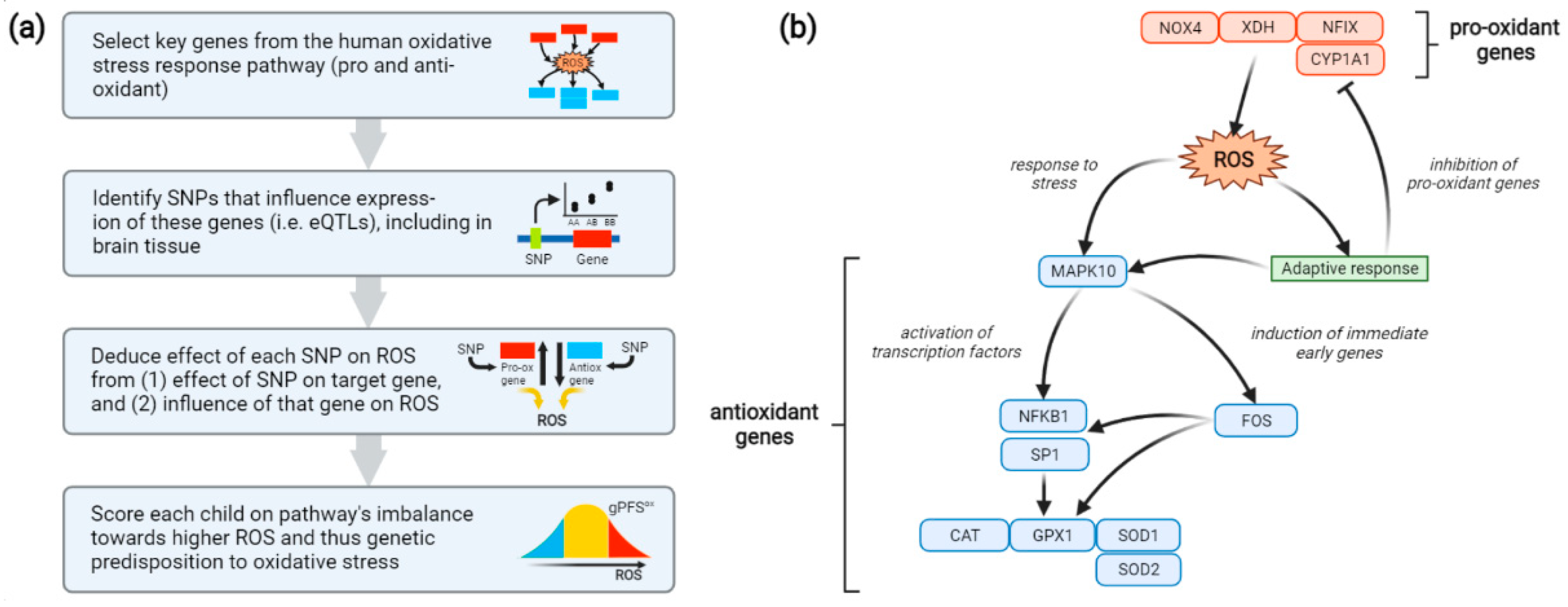 Antioxidants 11 00659 g001