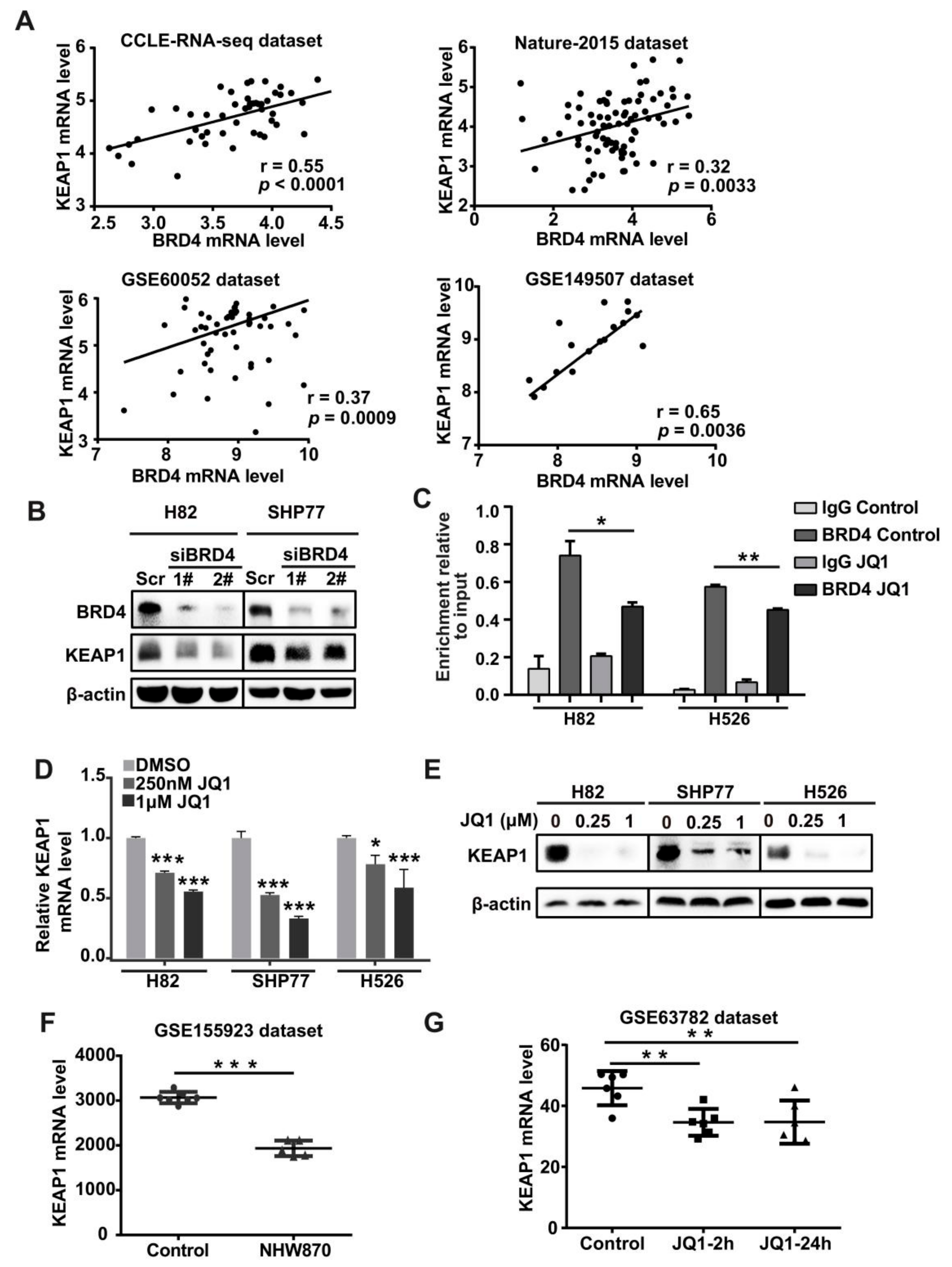 Antioxidants 11 00661 g003