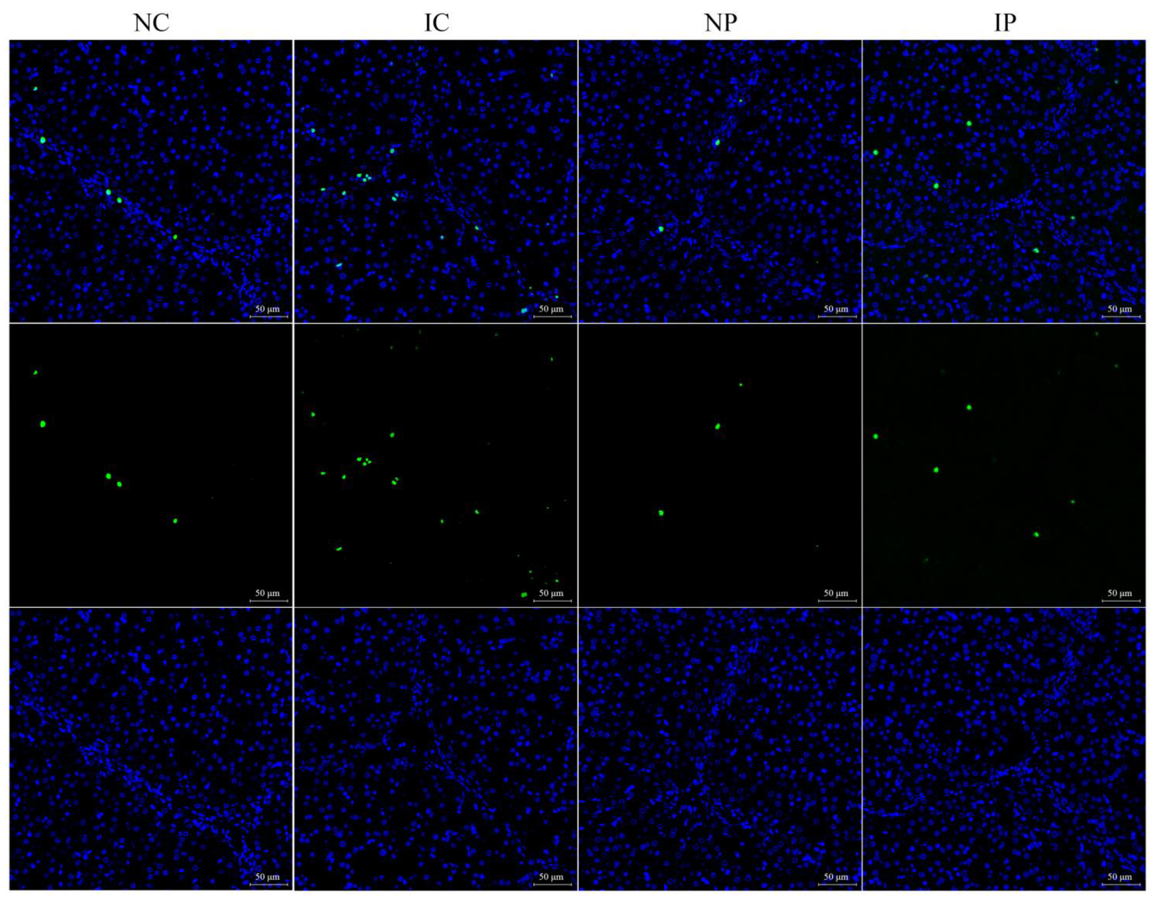 Antioxidants 11 00666 g001 550