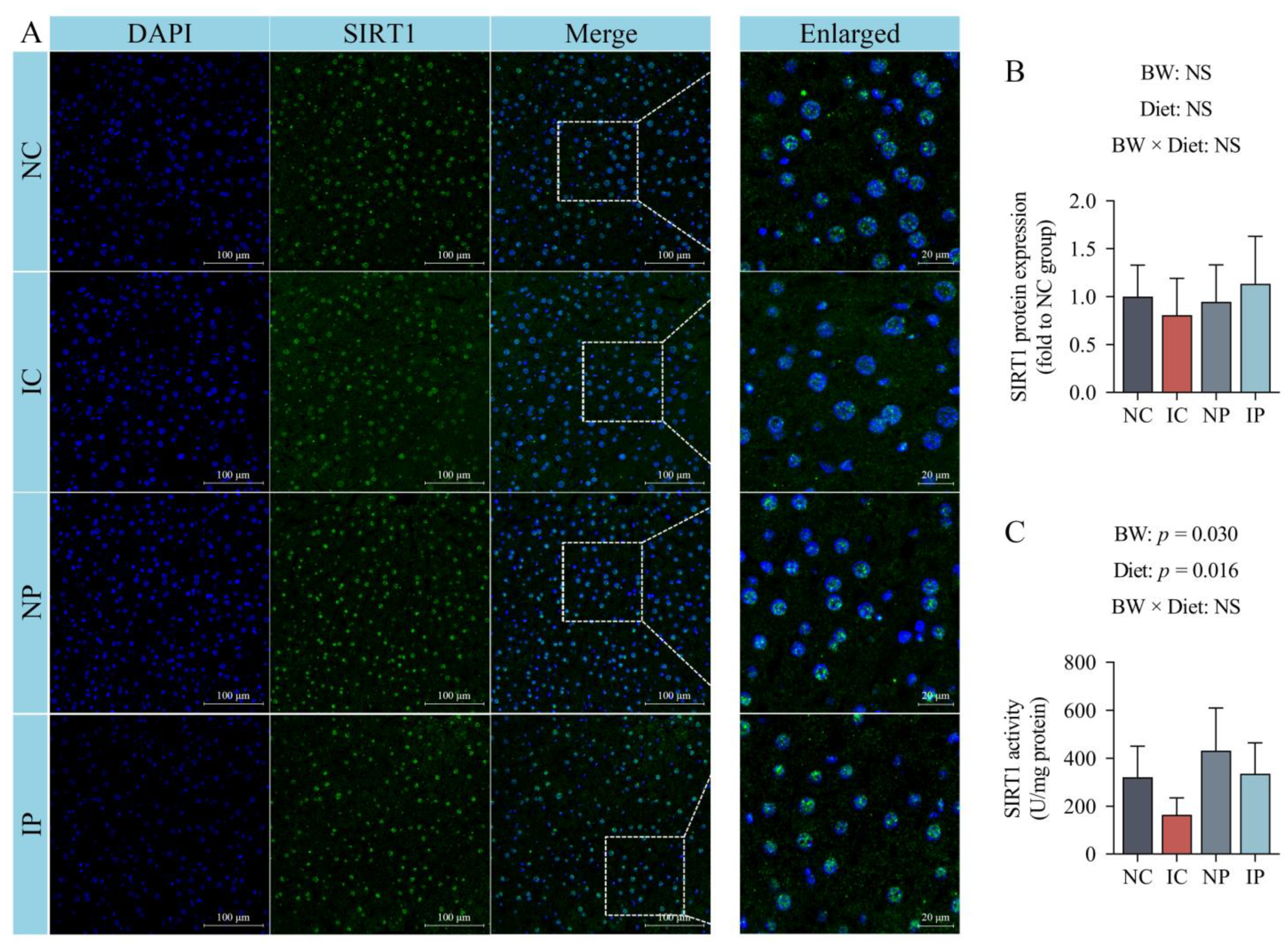 Antioxidants 11 00666 g004 550