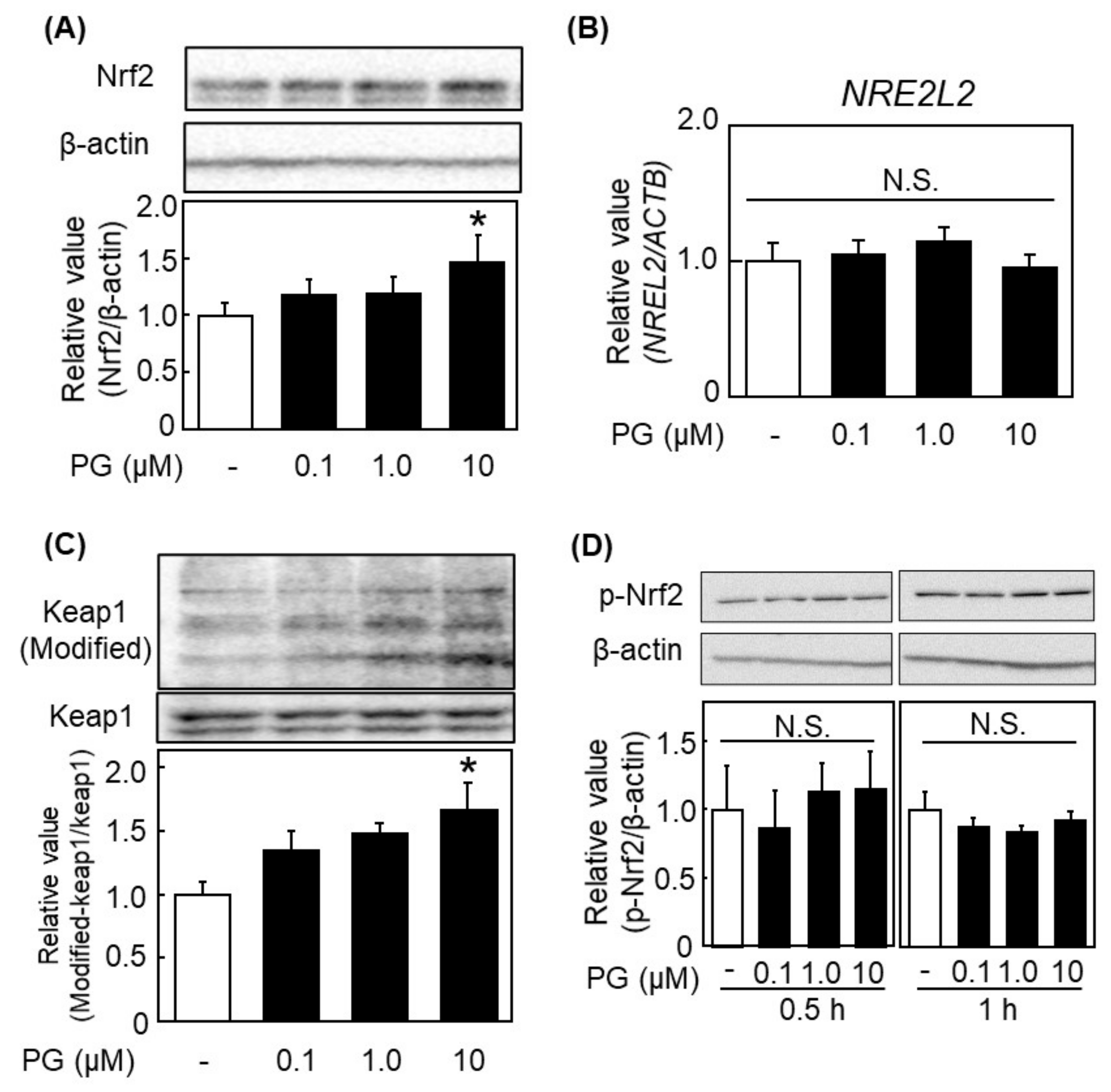 Antioxidants 11 00675 g005