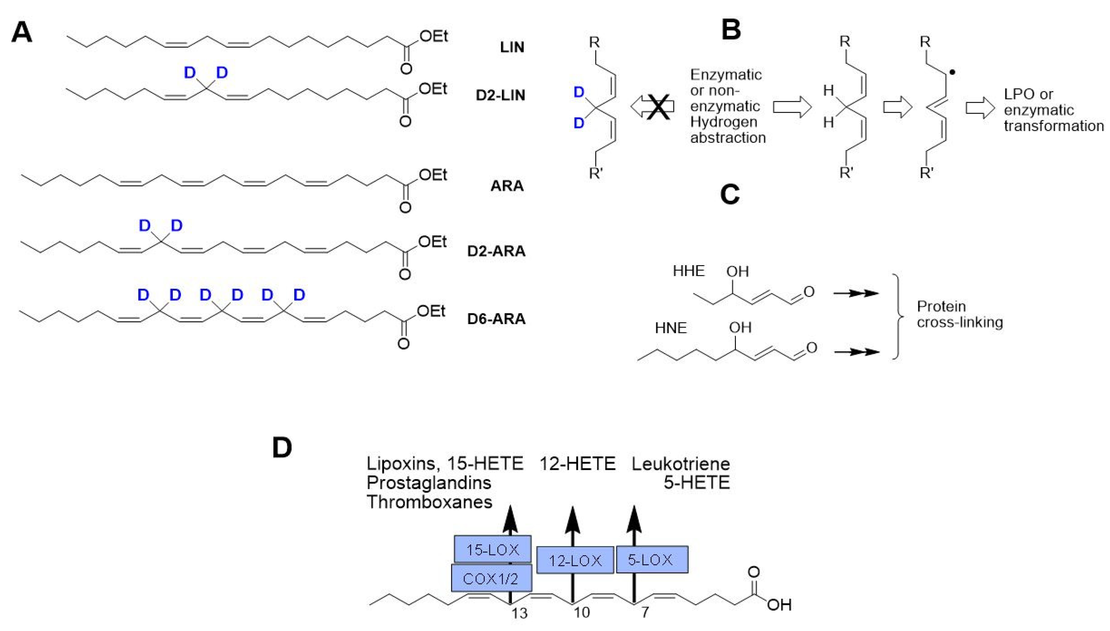 Antioxidants 11 00681 g001 Antioxidants 11 00681 g001