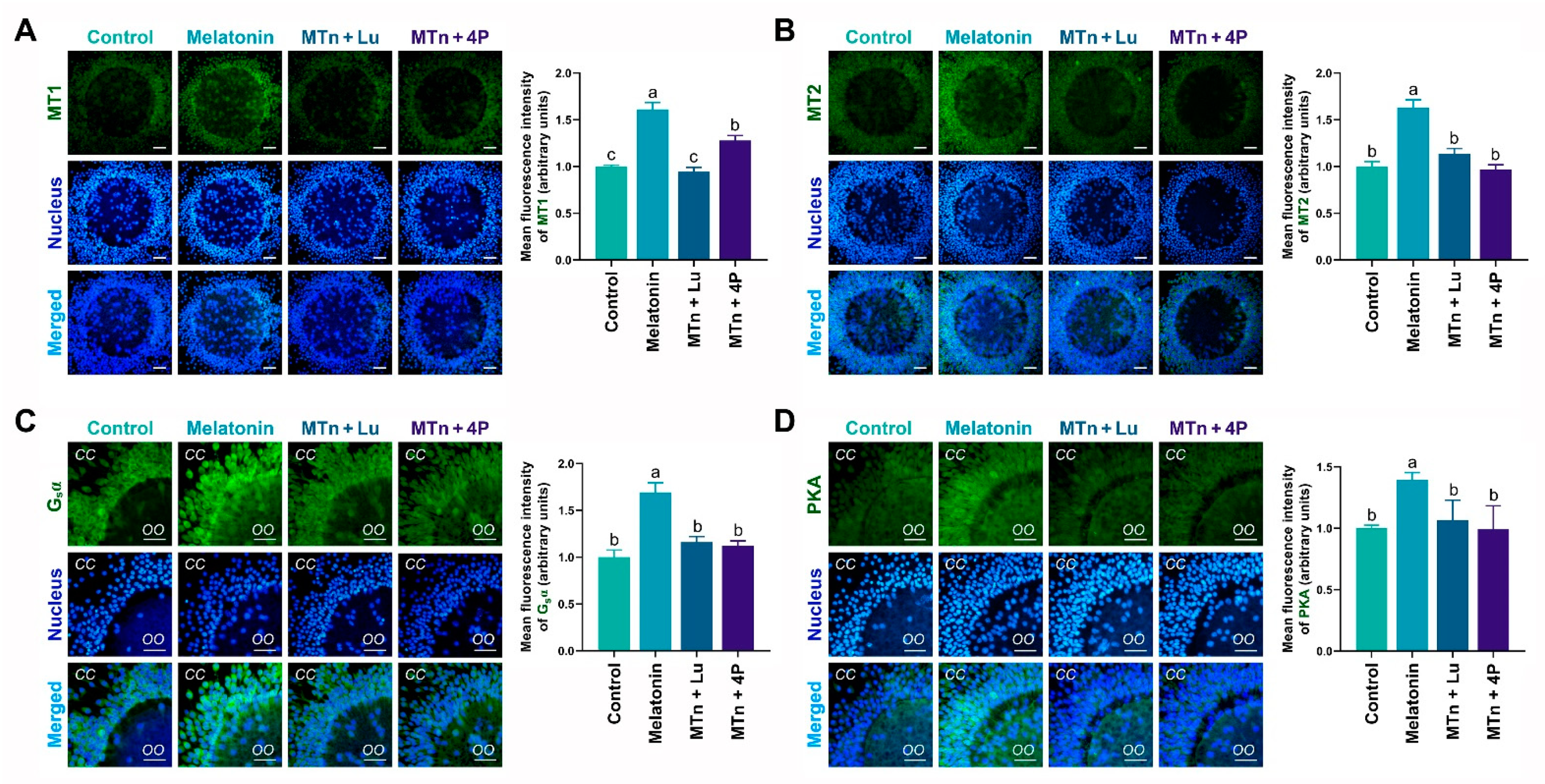 Antioxidants 11 00687 g002