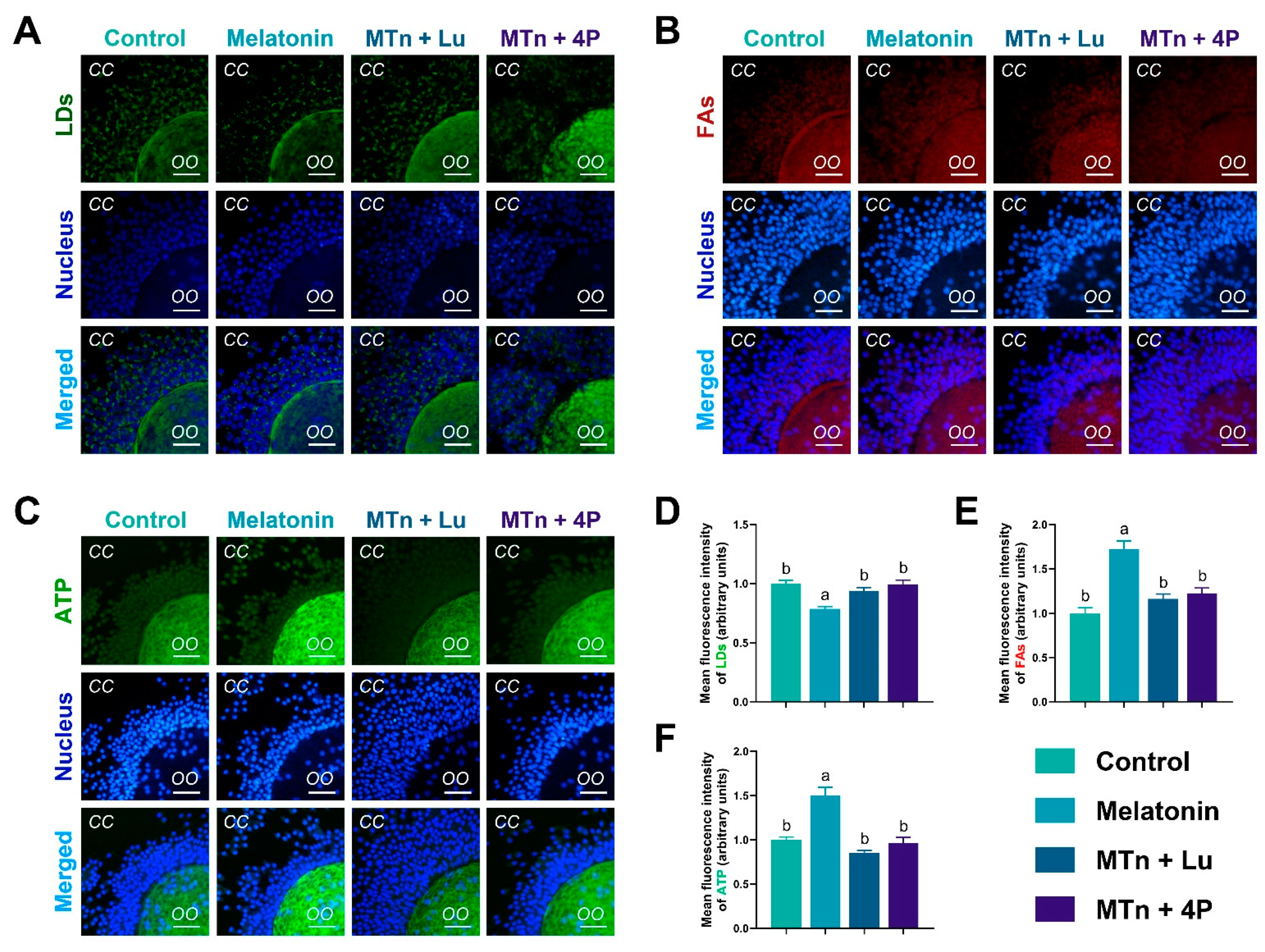 Antioxidants 11 00687 g004