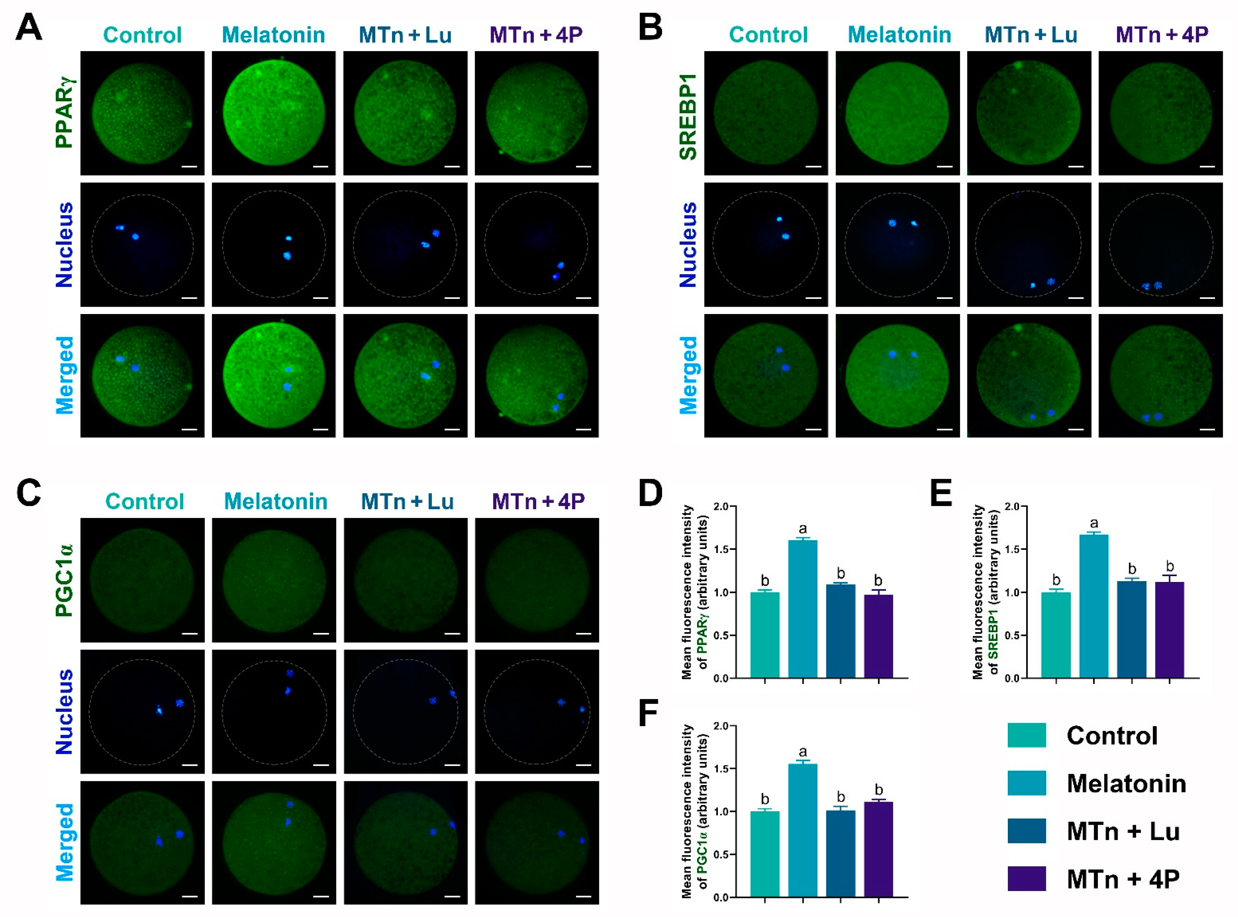 Antioxidants 11 00687 g005