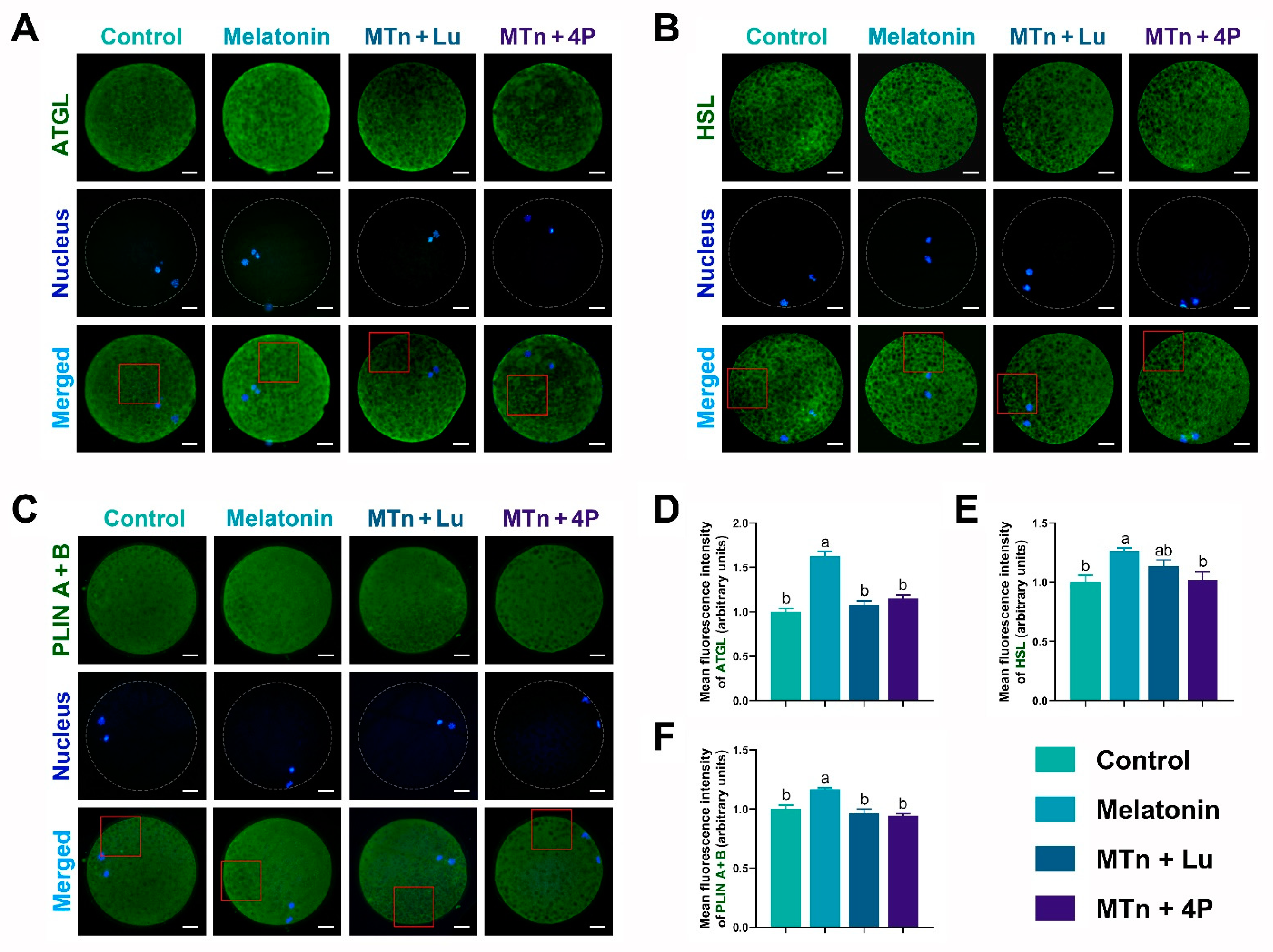 Antioxidants 11 00687 g006