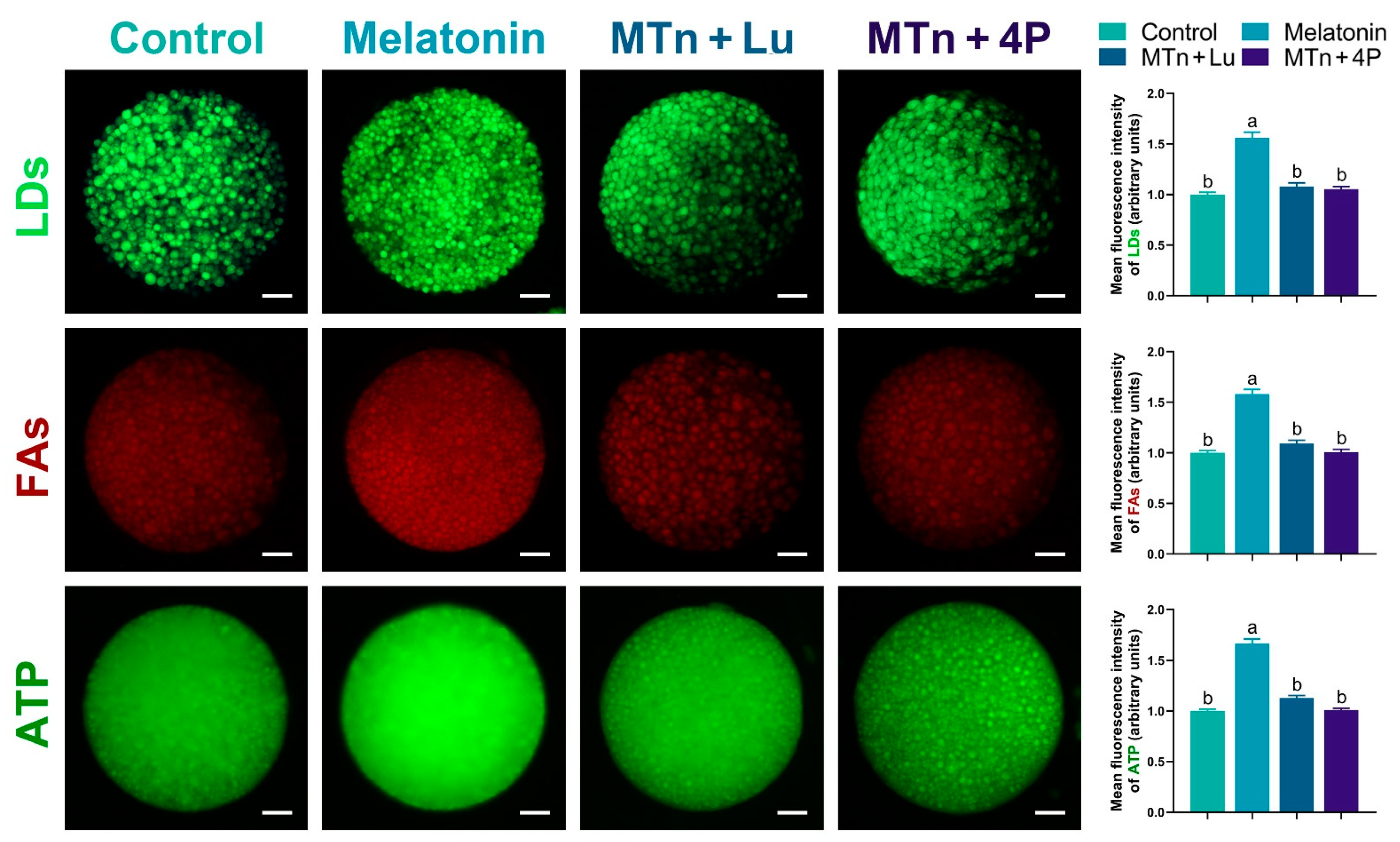 Antioxidants 11 00687 g007
