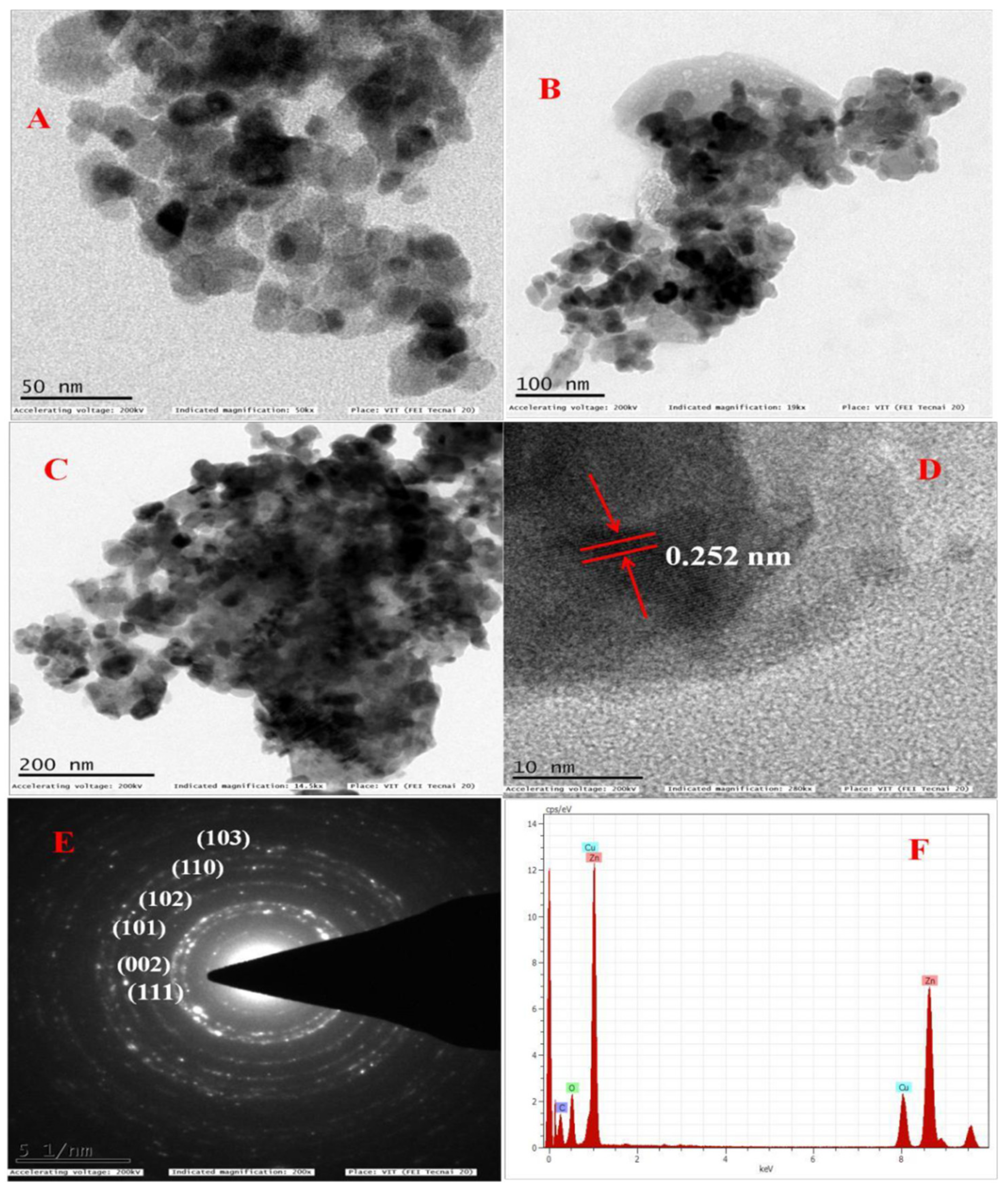 Antioxidants 11 00688 g006 Antioxidants 11 00688 g006