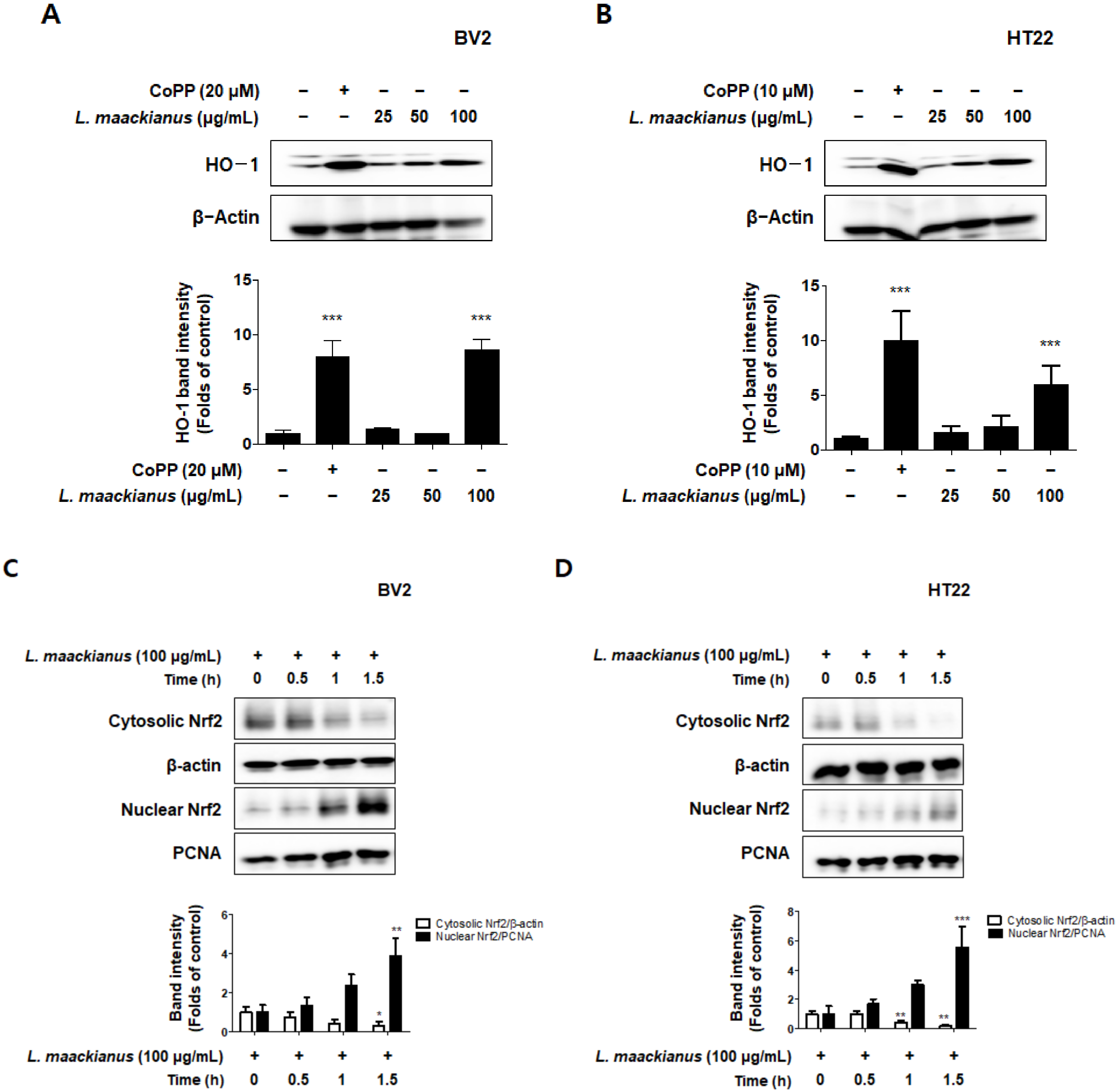 Antioxidants 11 00690 g006a