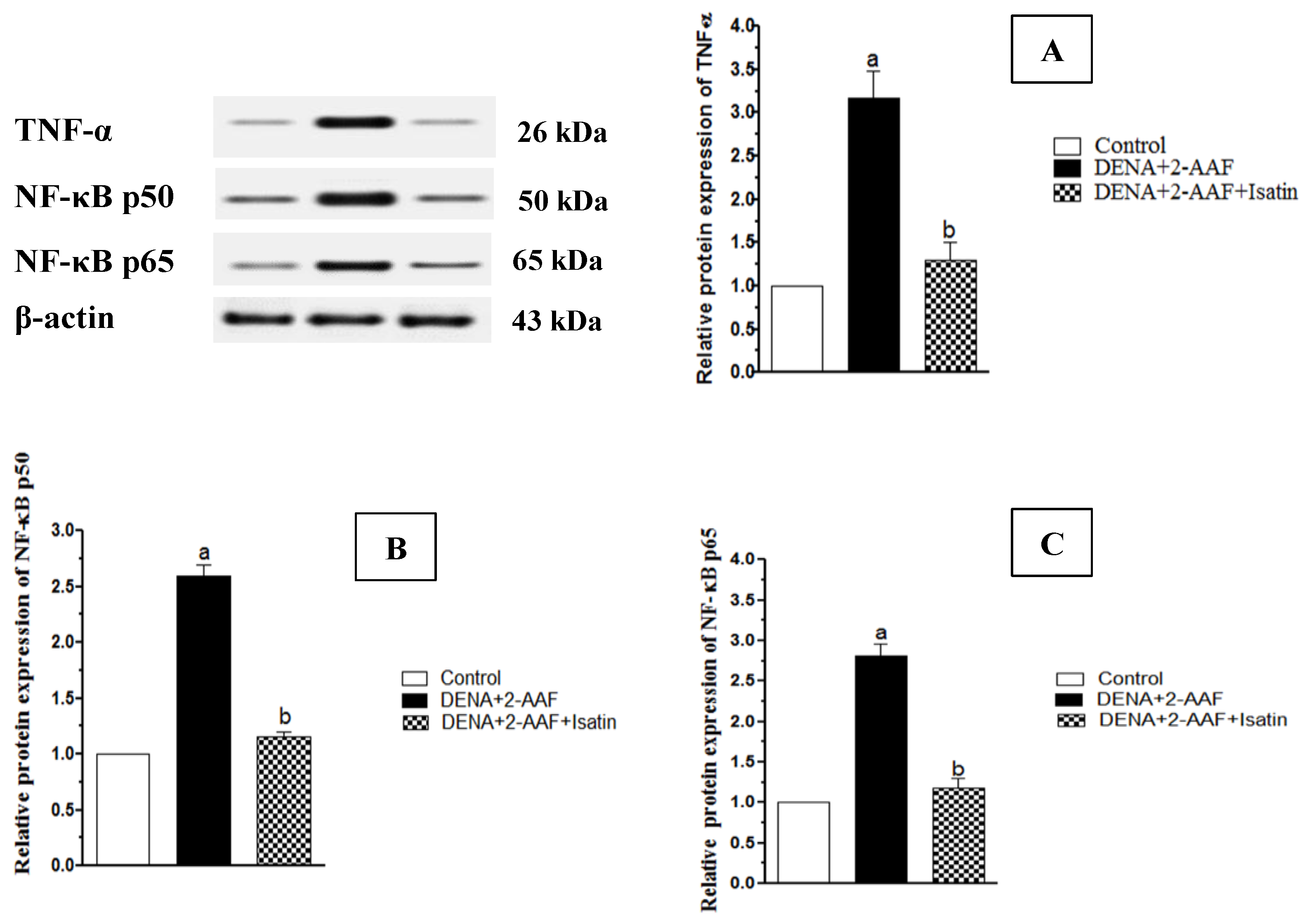 Antioxidants 11 00699 g004