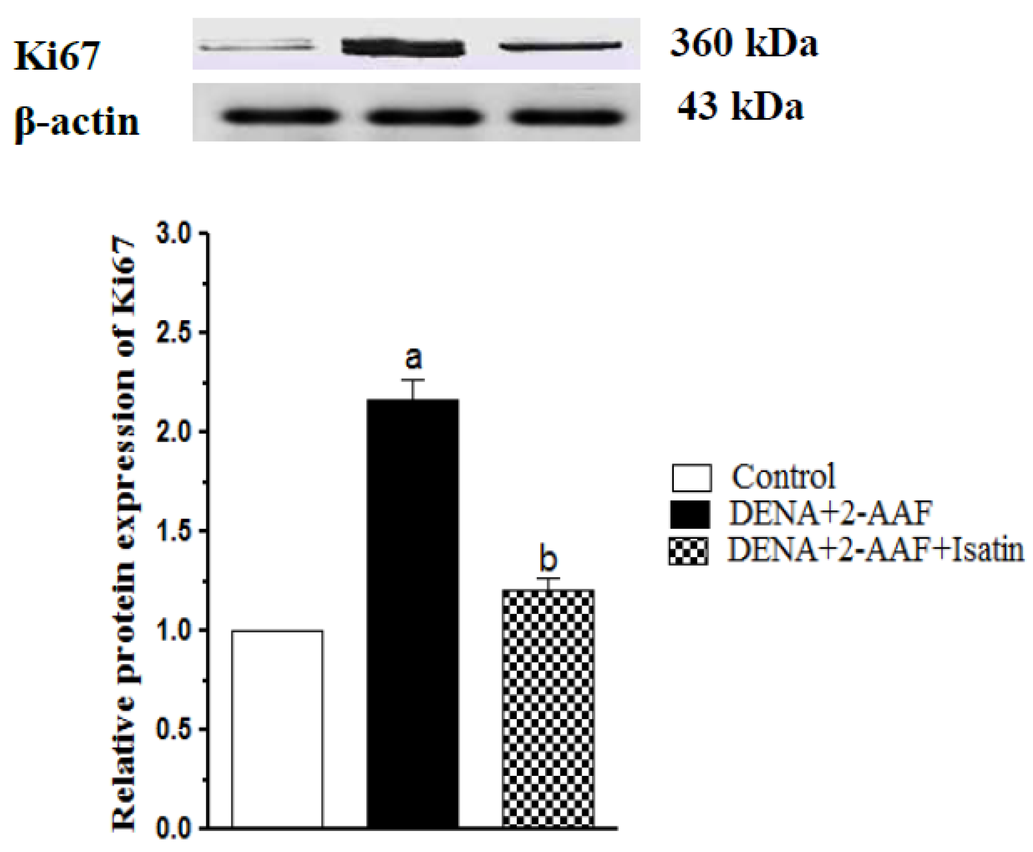 Antioxidants 11 00699 g006