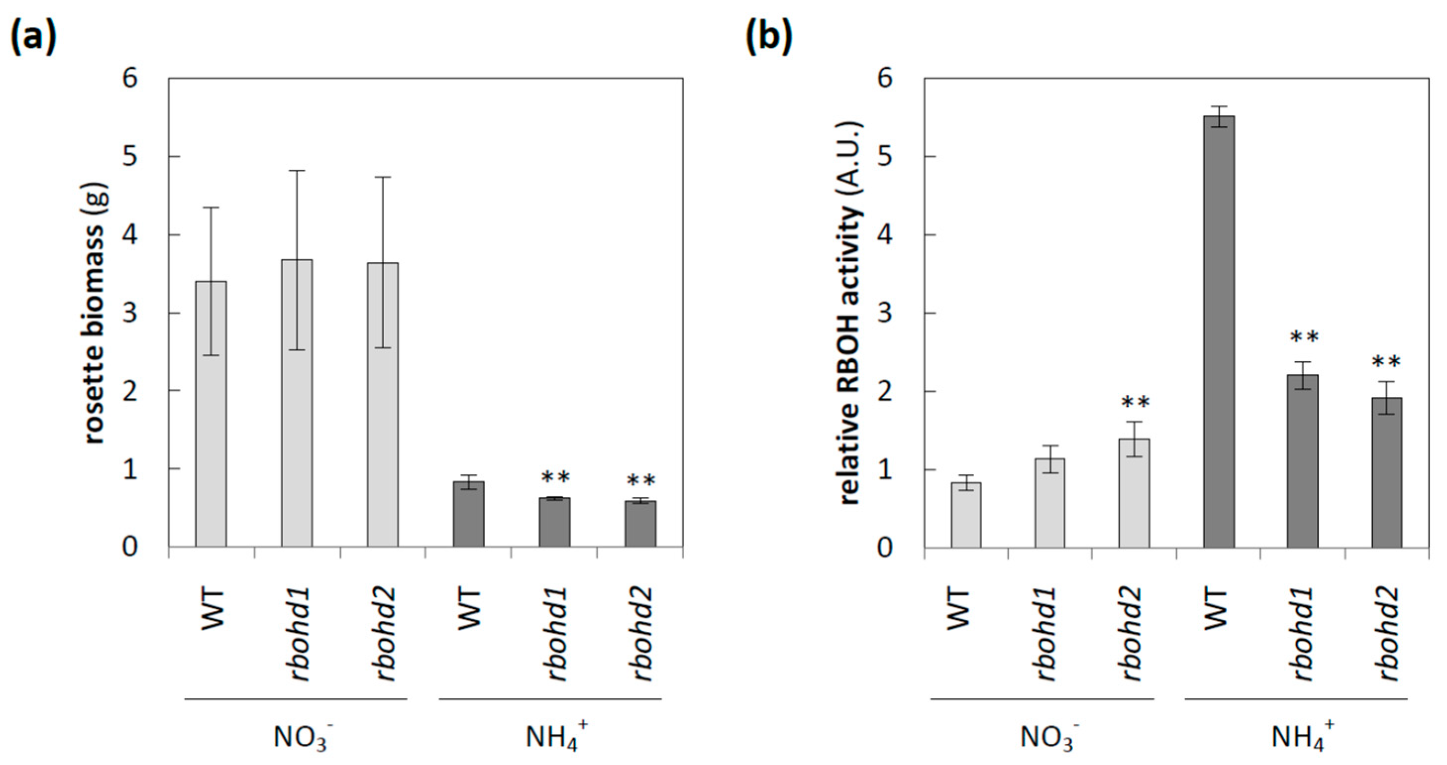 Antioxidants 11 00703 g001 550