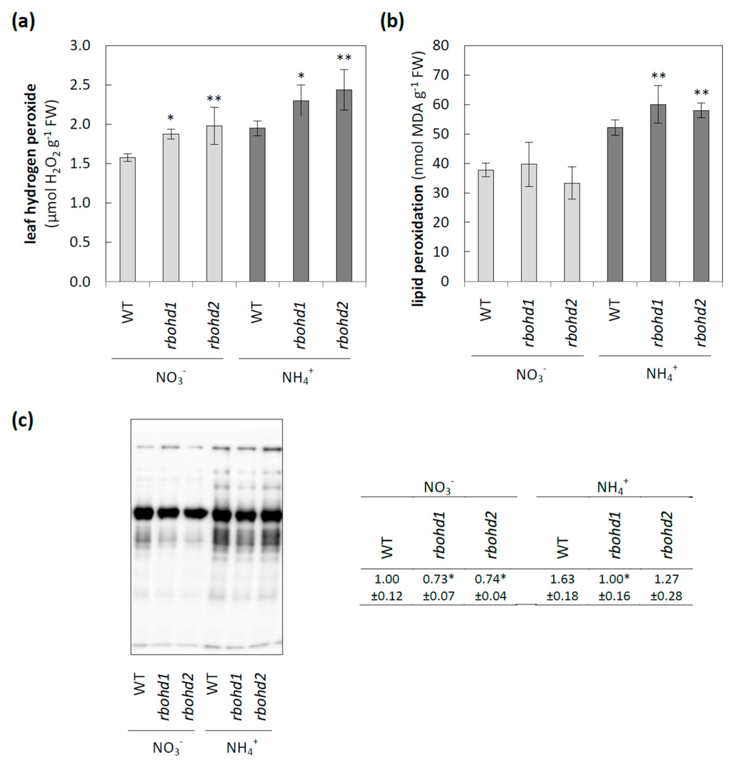 Antioxidants 11 00703 g002 550