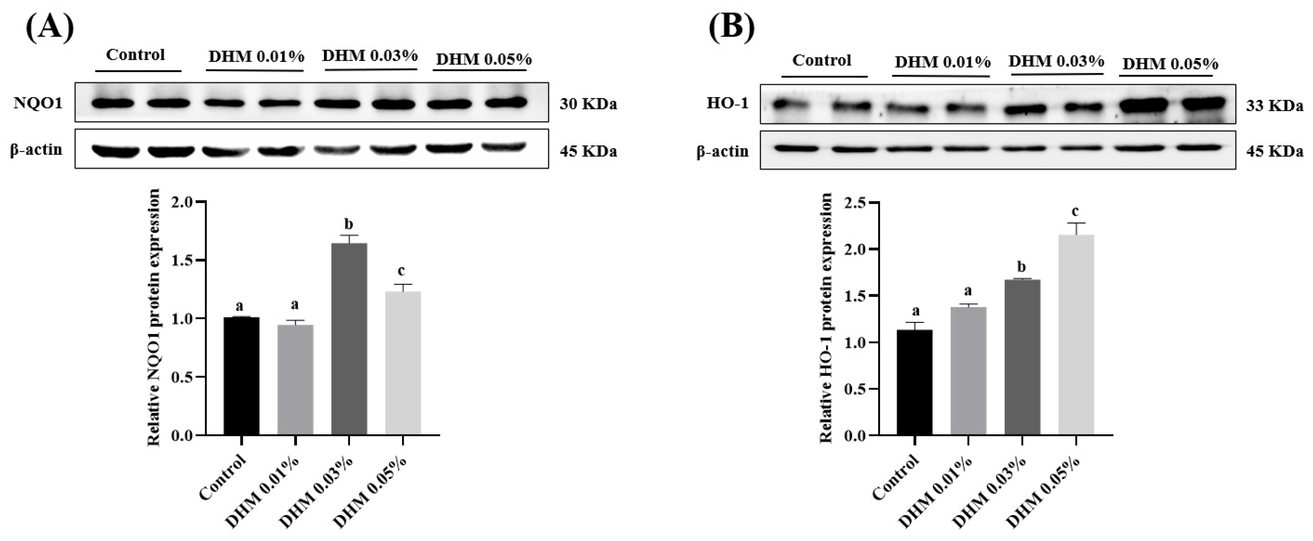 Antioxidants 11 00704 g001a
