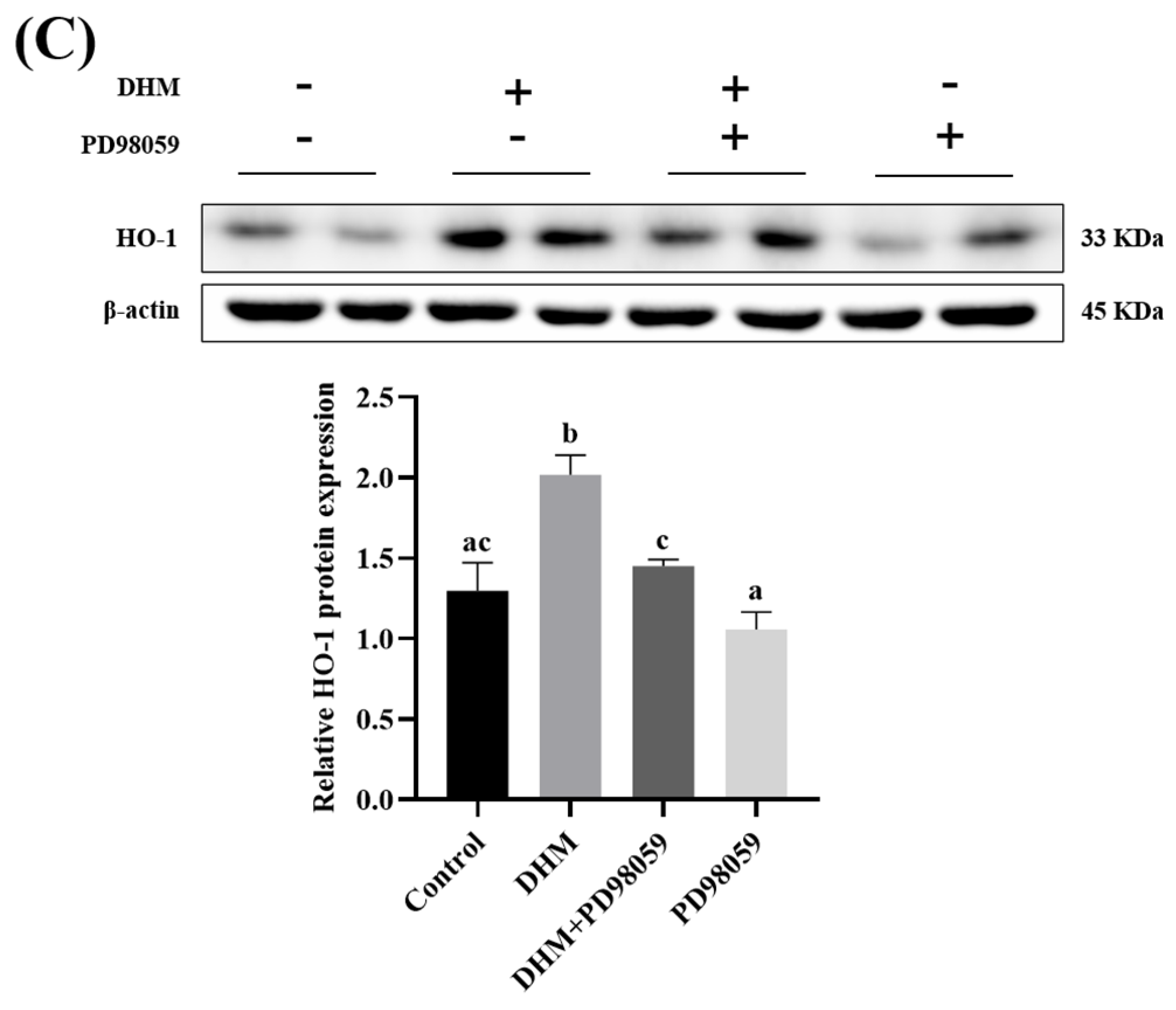 Antioxidants 11 00704 g004b