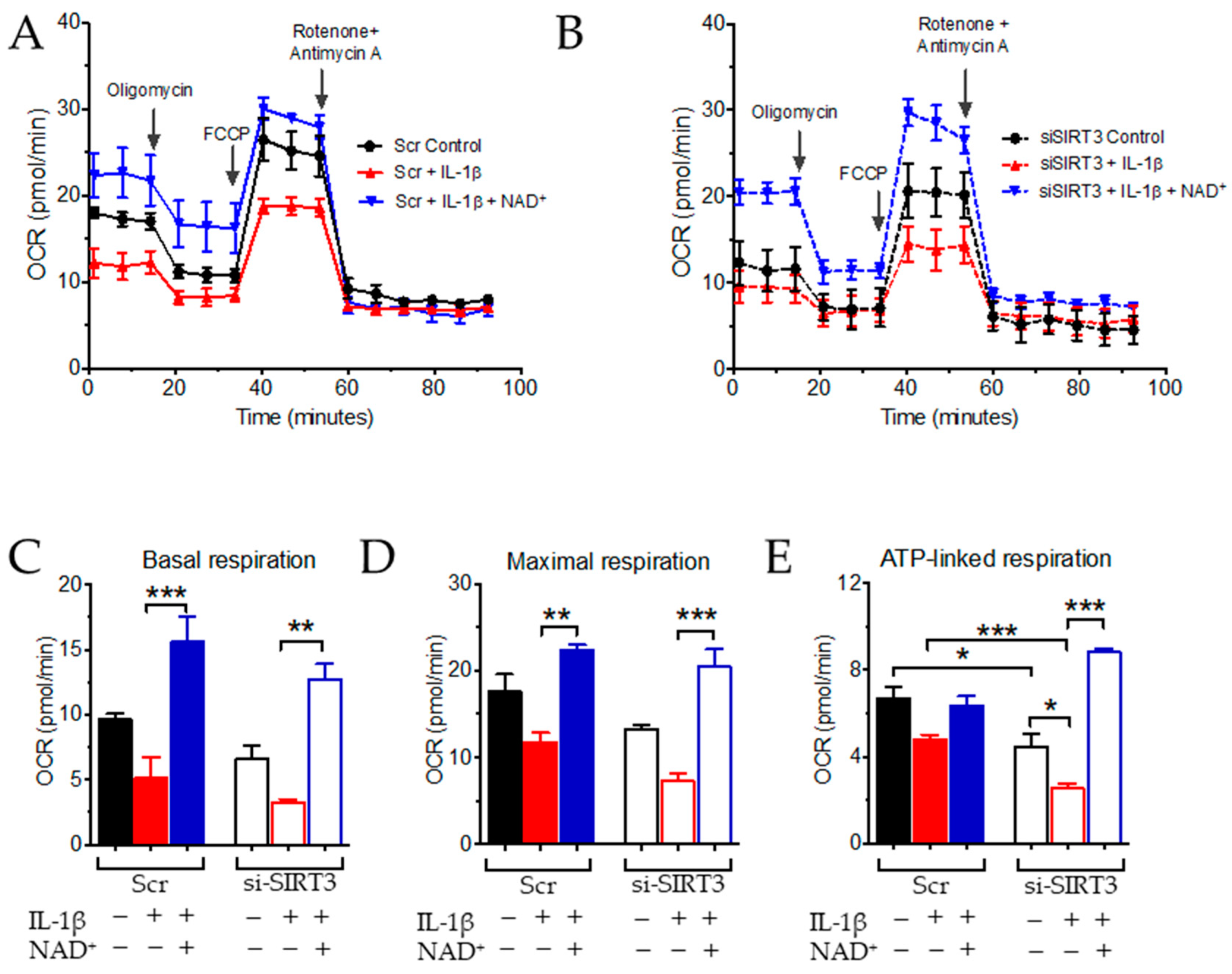 Antioxidants 11 00706 g002 550