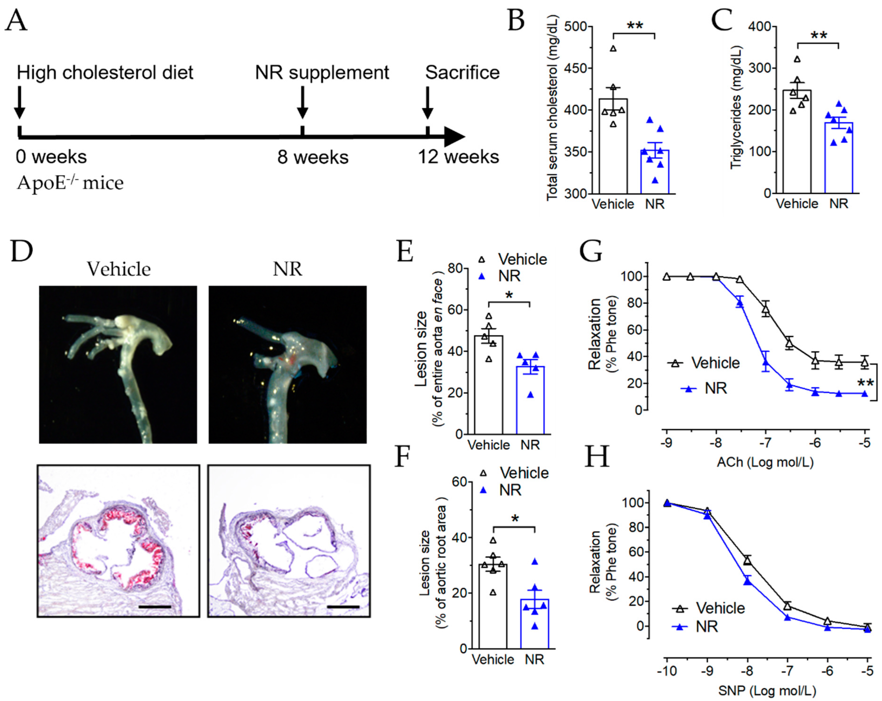 Antioxidants 11 00706 g005 550