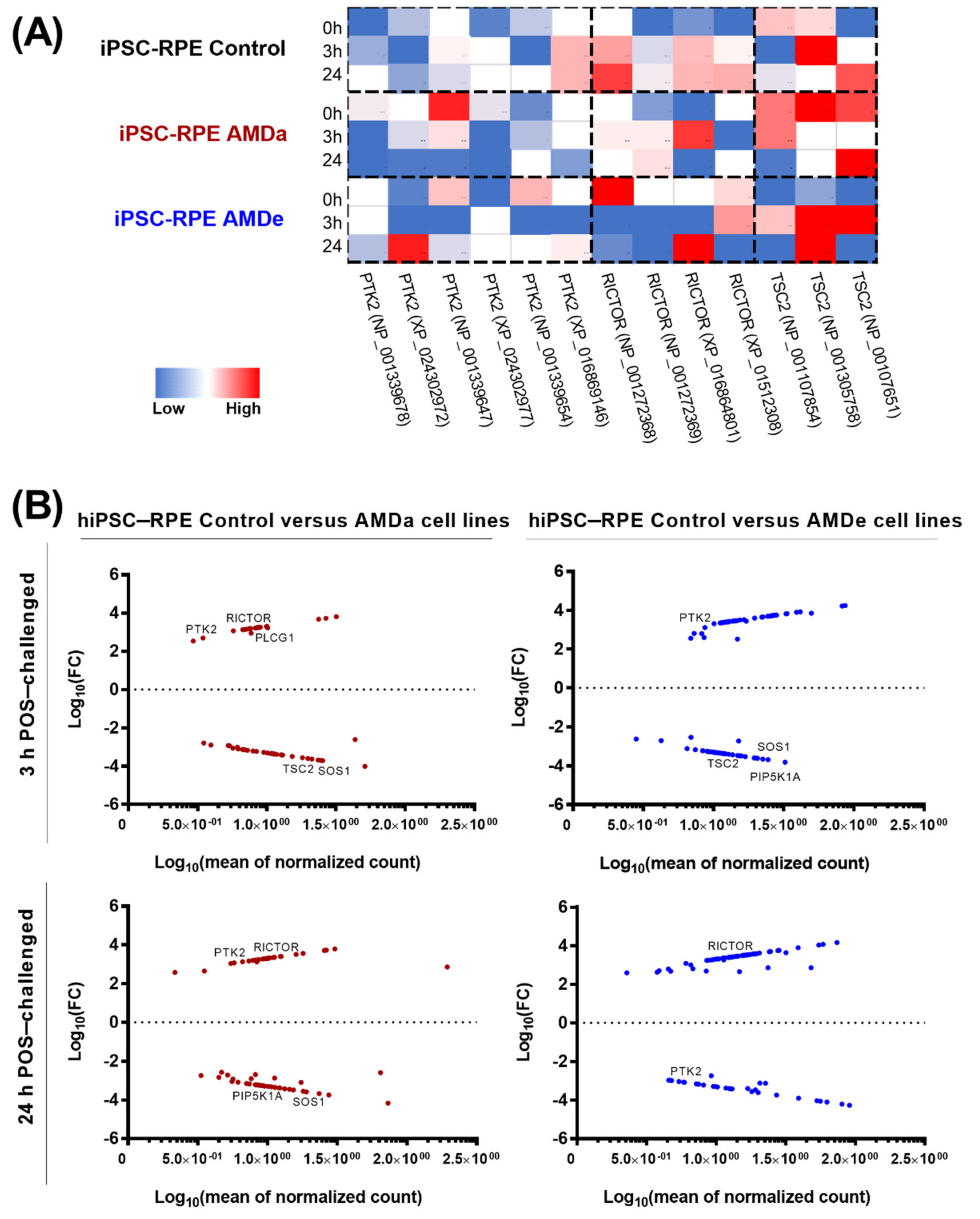 Antioxidants 11 00713 g005 Antioxidants 11 00713 g005